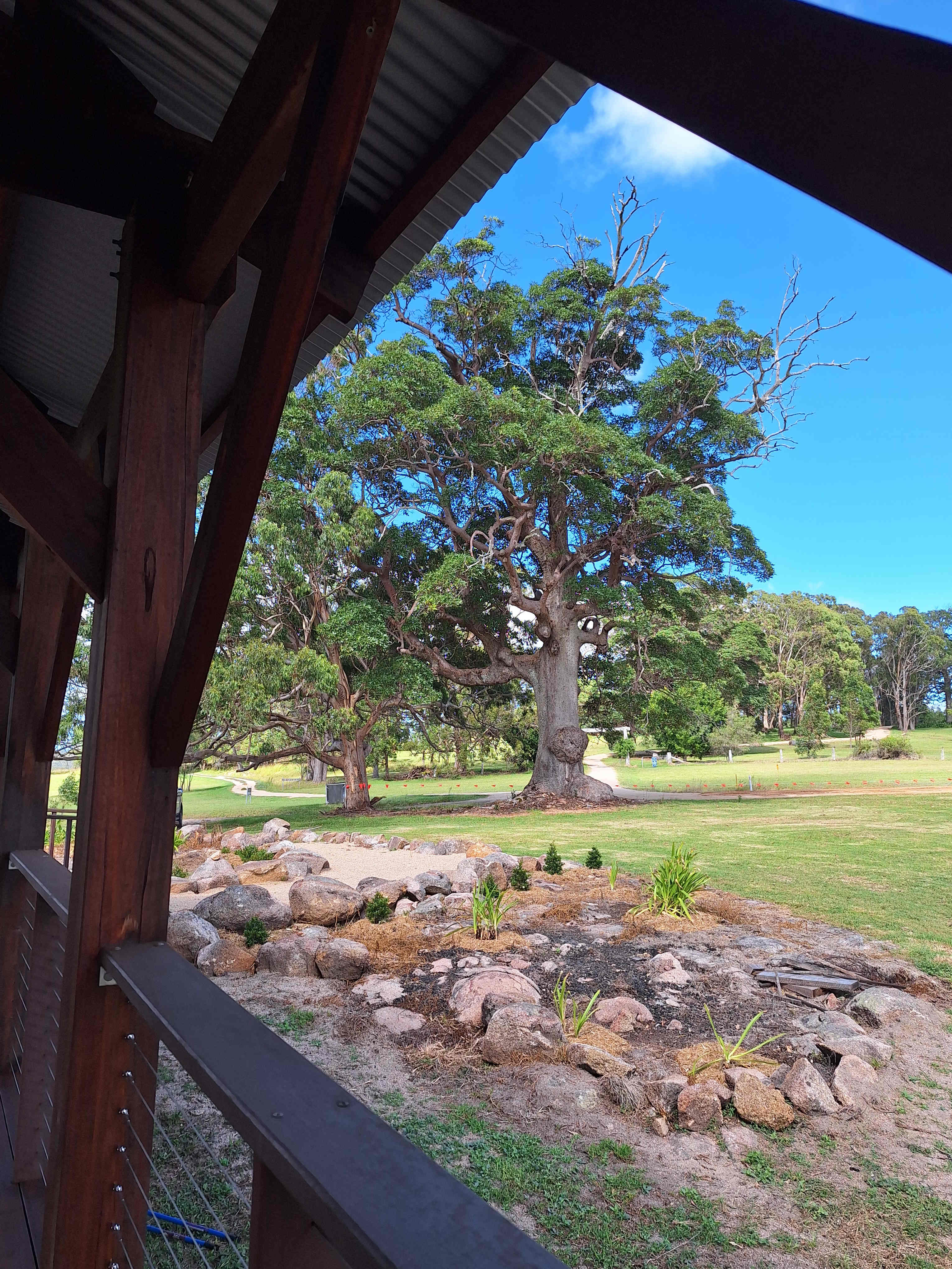 Picture of the site
