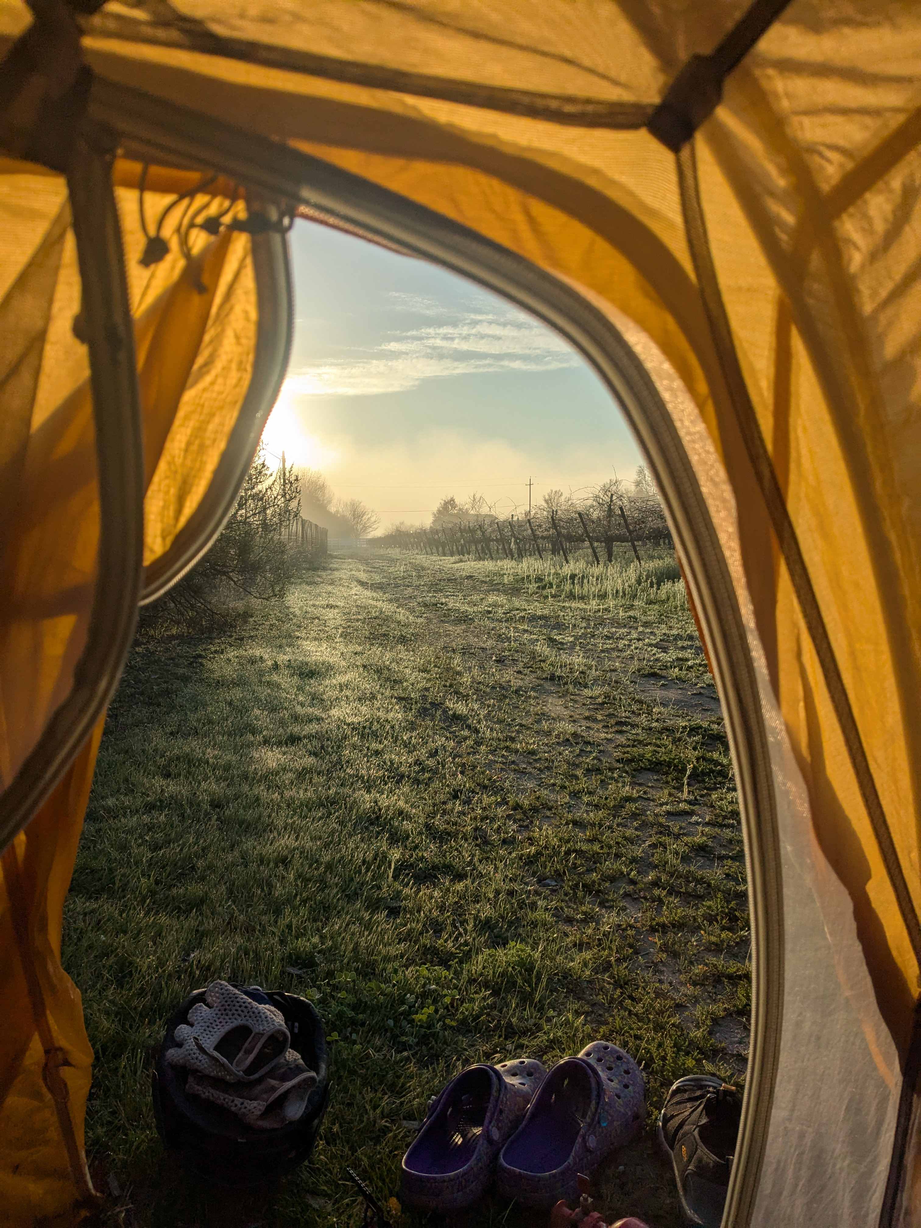 Historic Truck Farm Vineyard