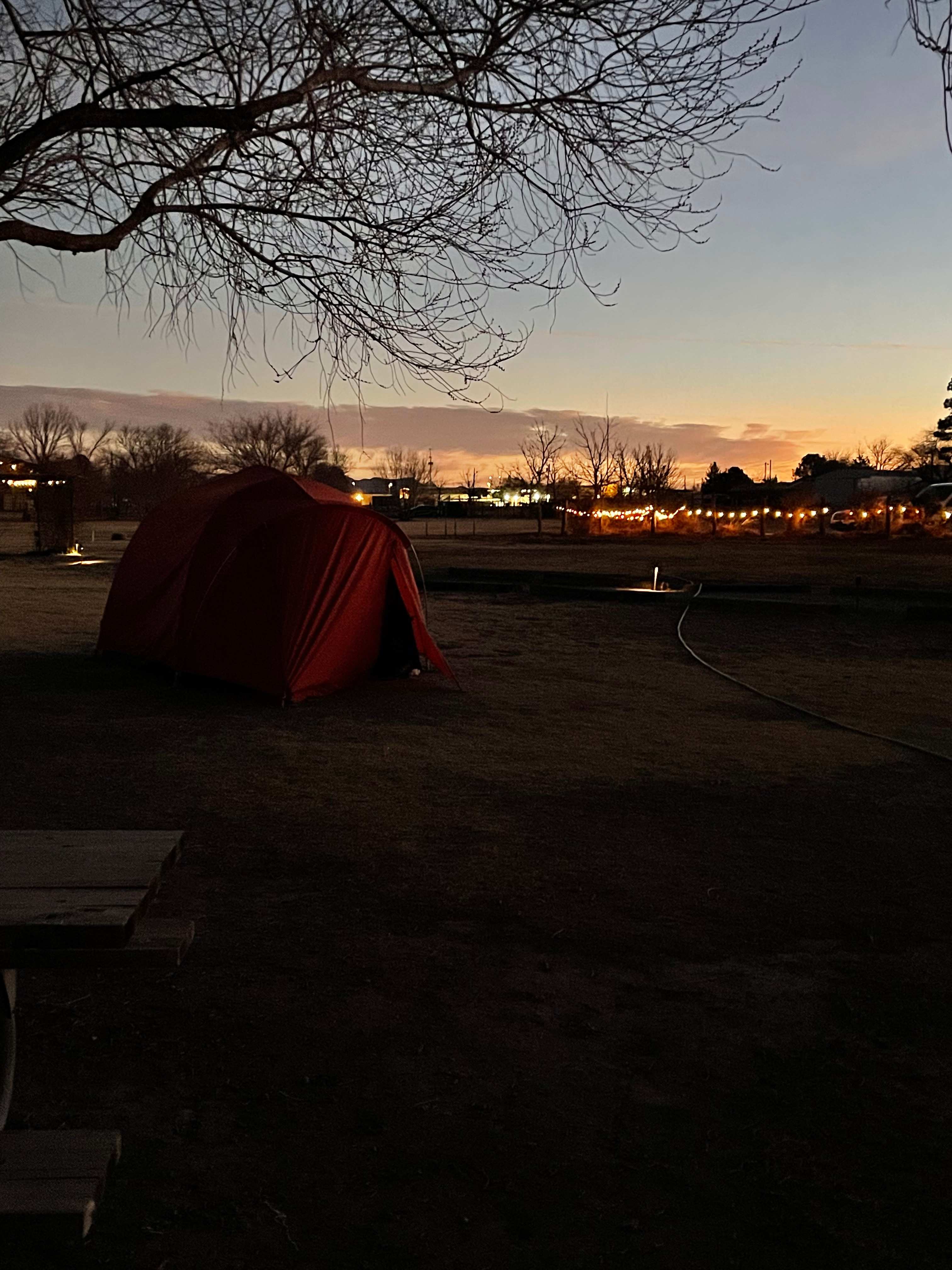 El Cosmico
