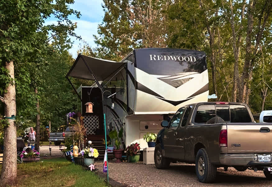 Picture of the site