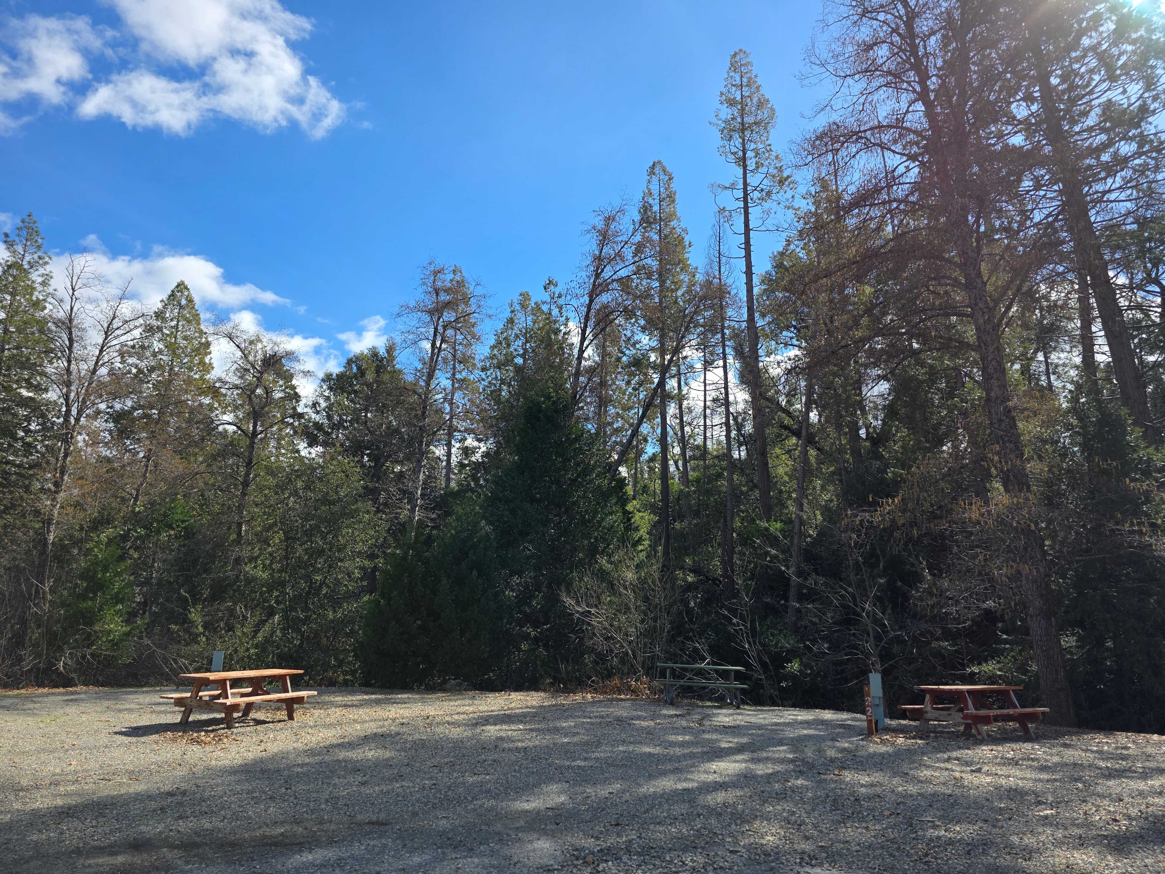 Outdoorsy Yosemite