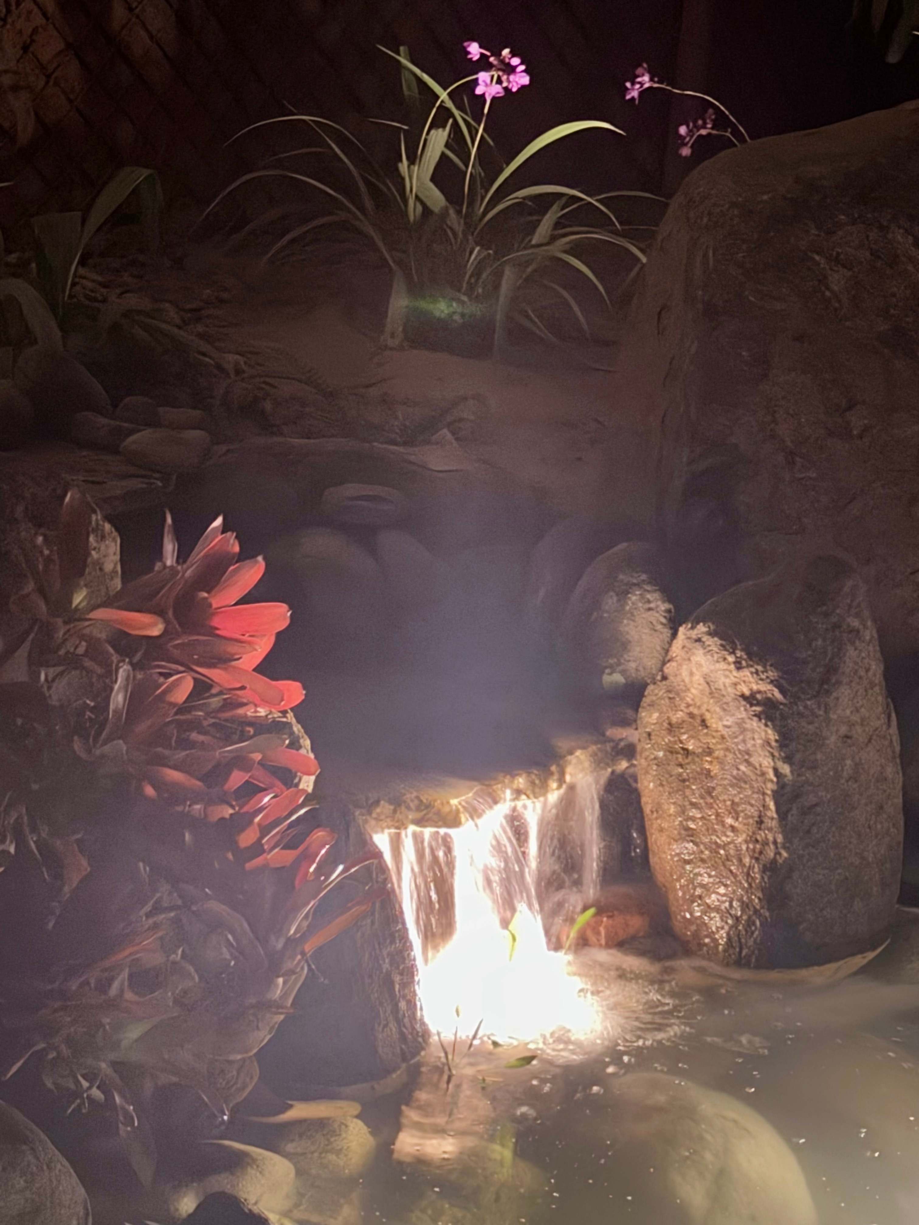 Jardin al Bosque - Glamping & Venue