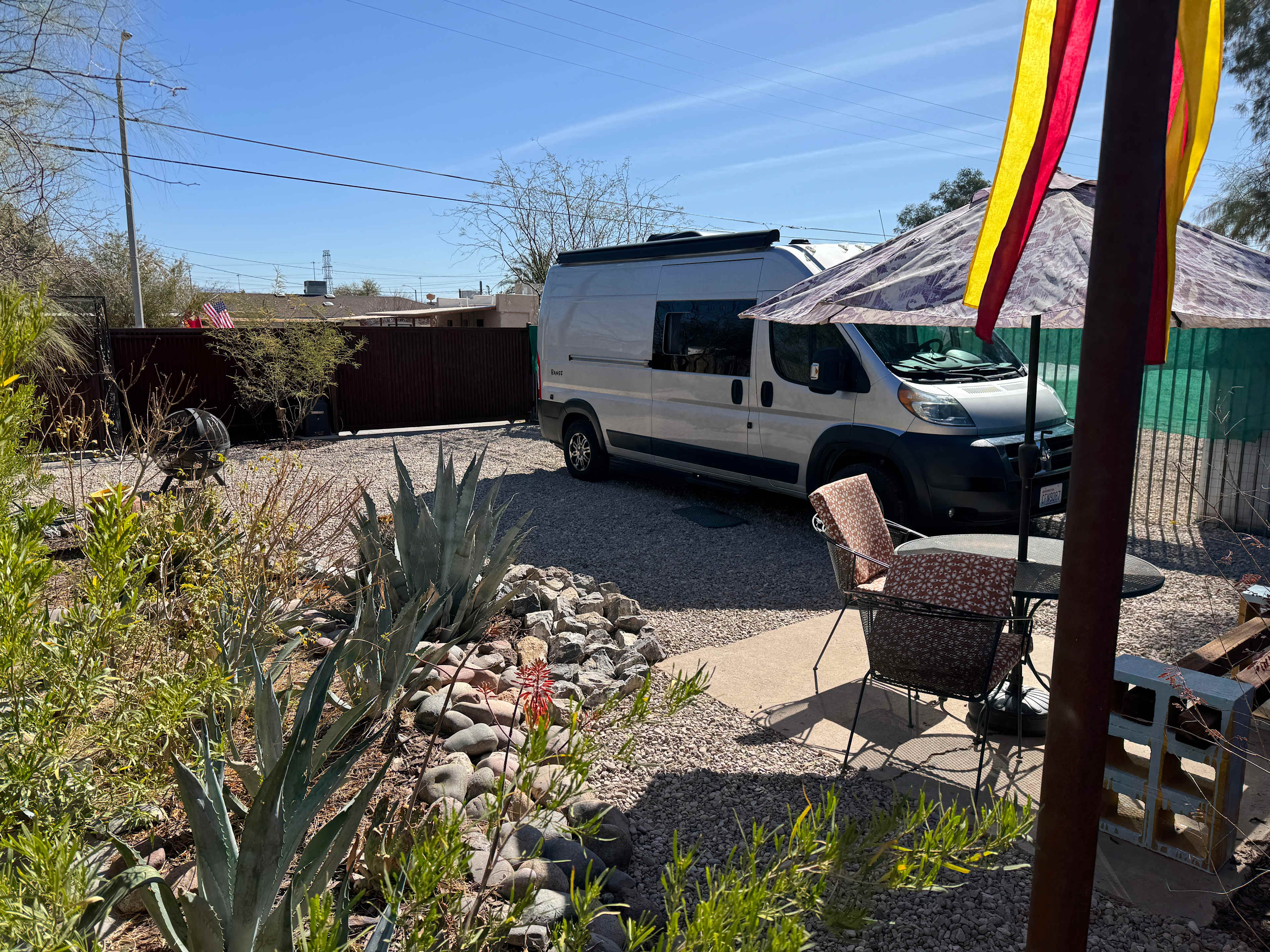 Roadrunner Tucson Birds and Cacti