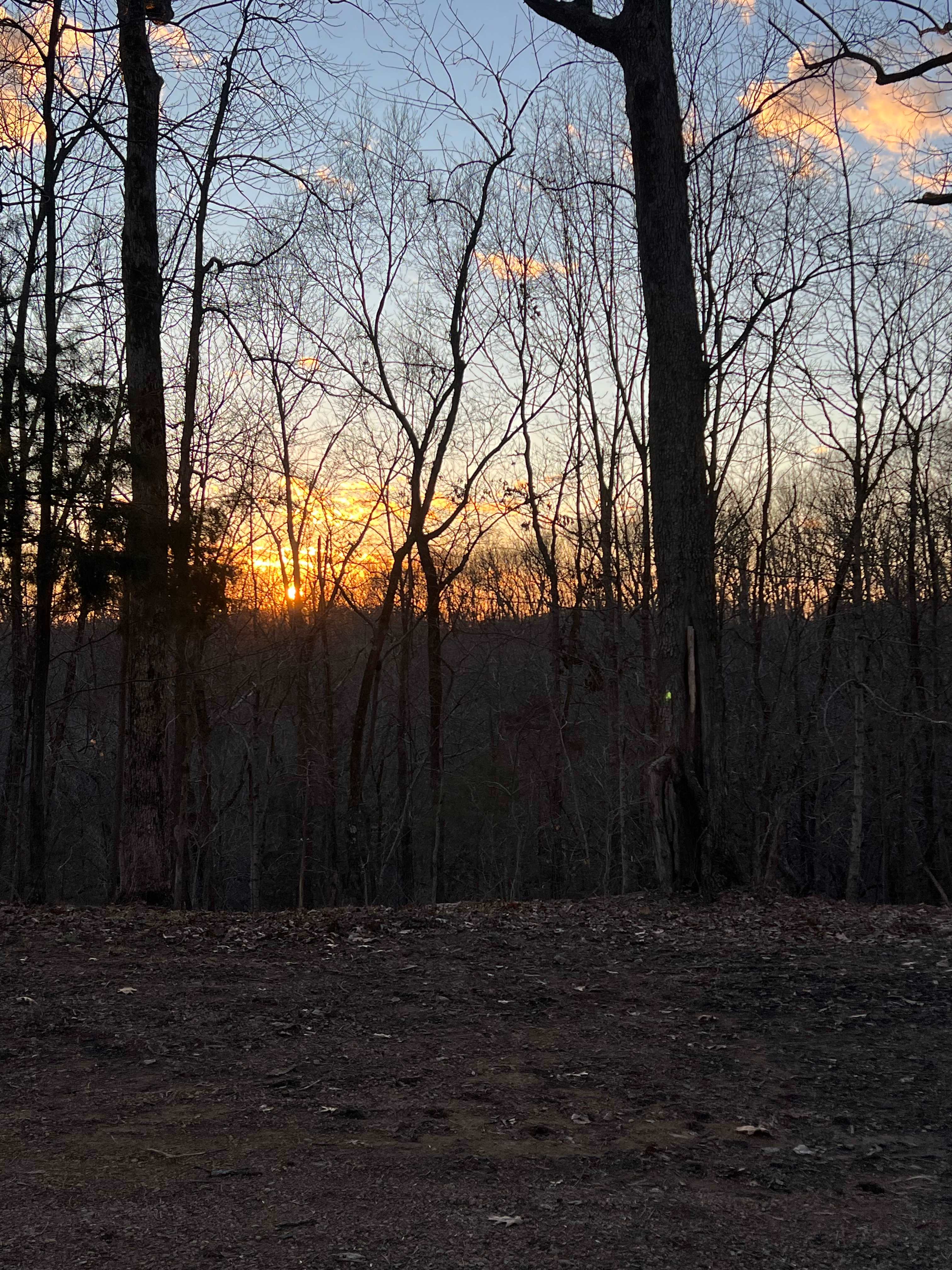 Perfect morning views!