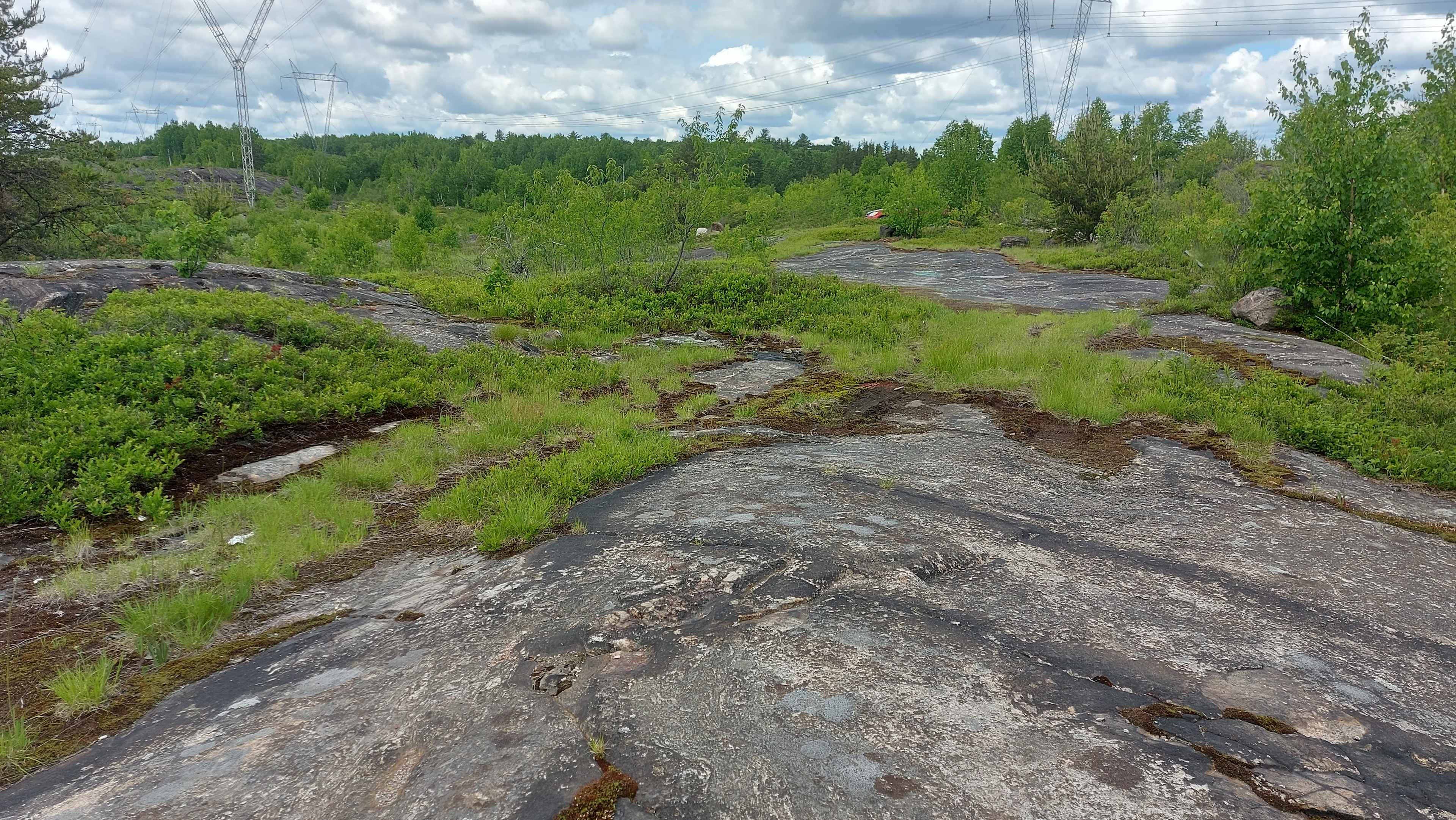 Picture of the site