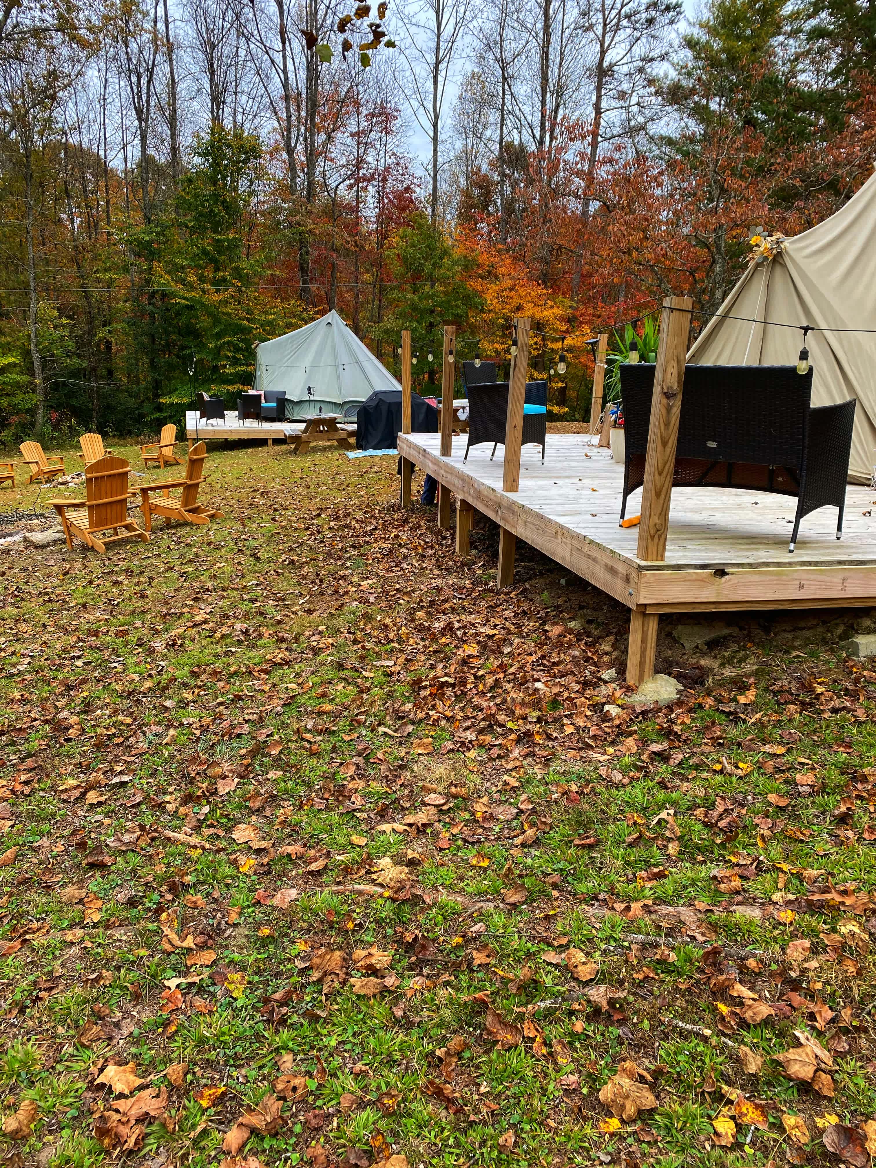 Wildwood Heart Farm