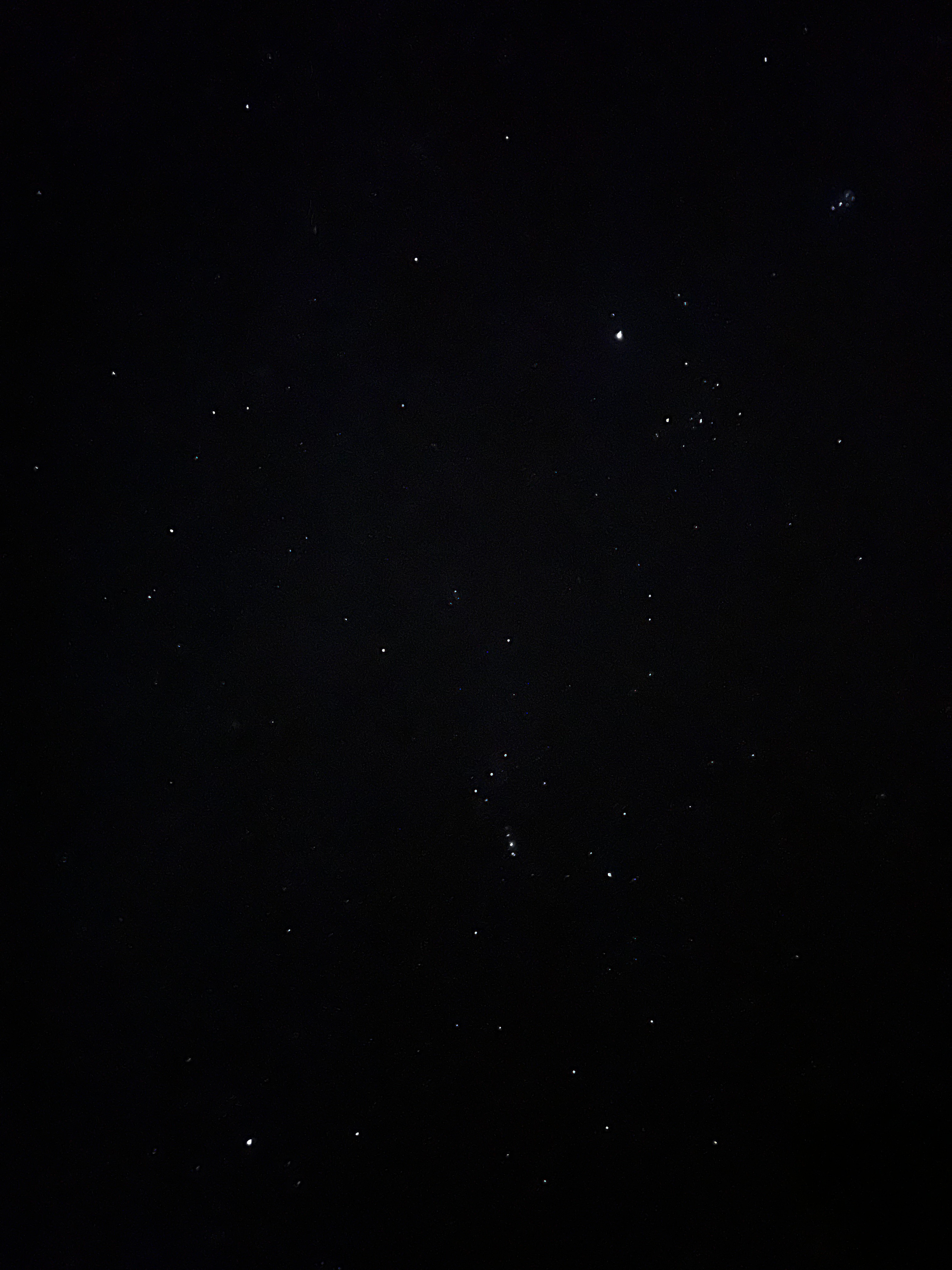 stars were amazing