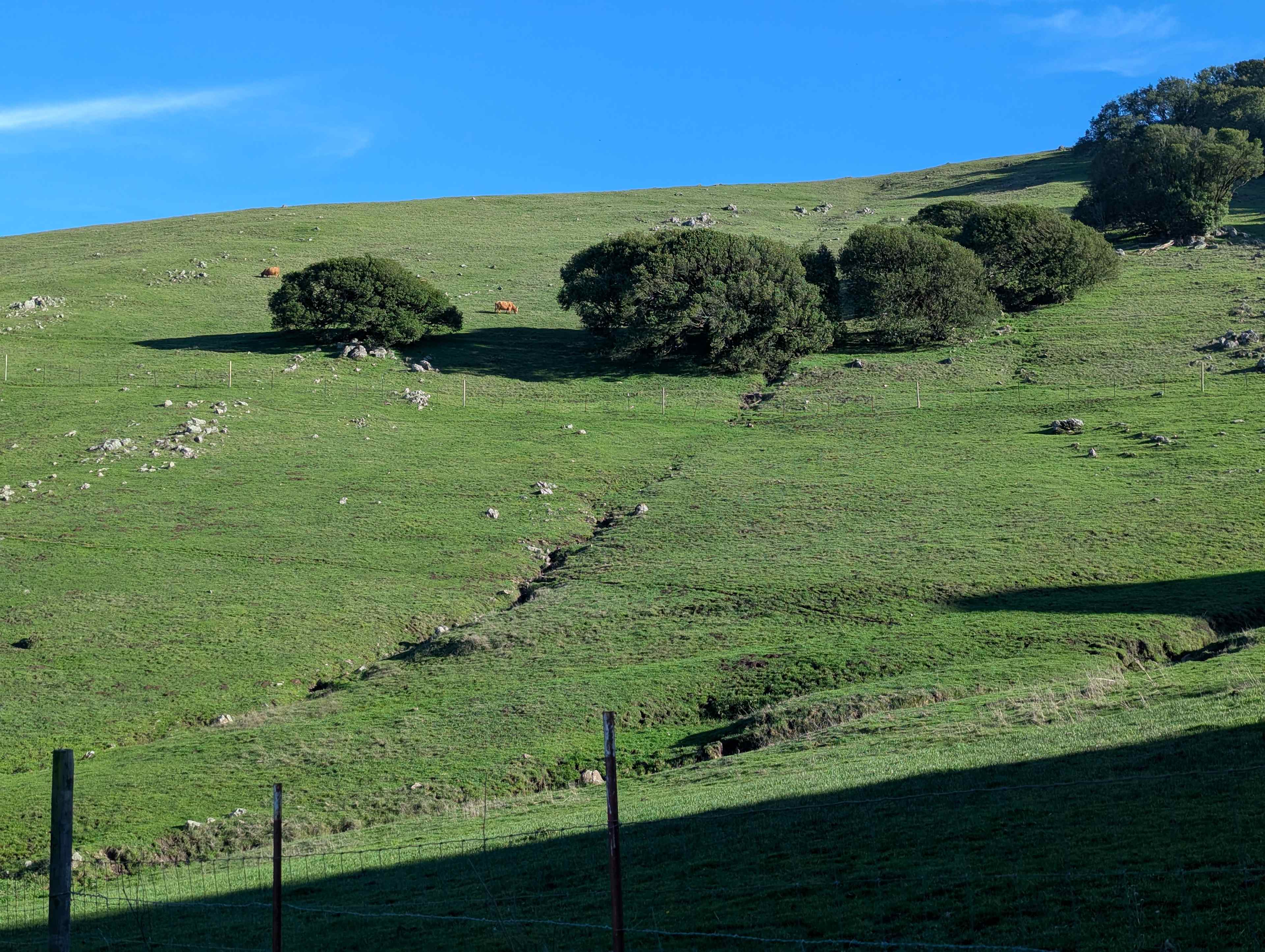 Tilted Earth Ranch