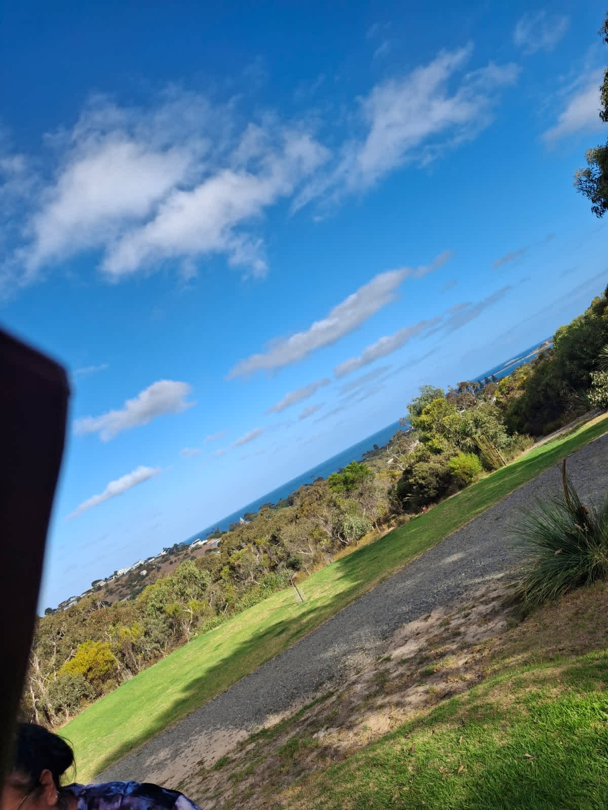 Perfect views 