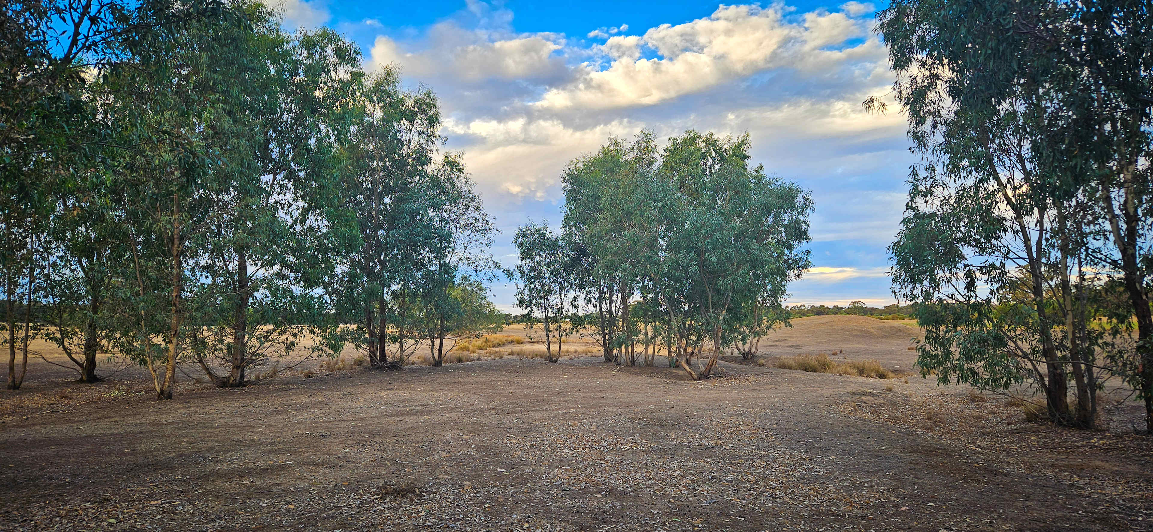 Looking towards the dam in dry season