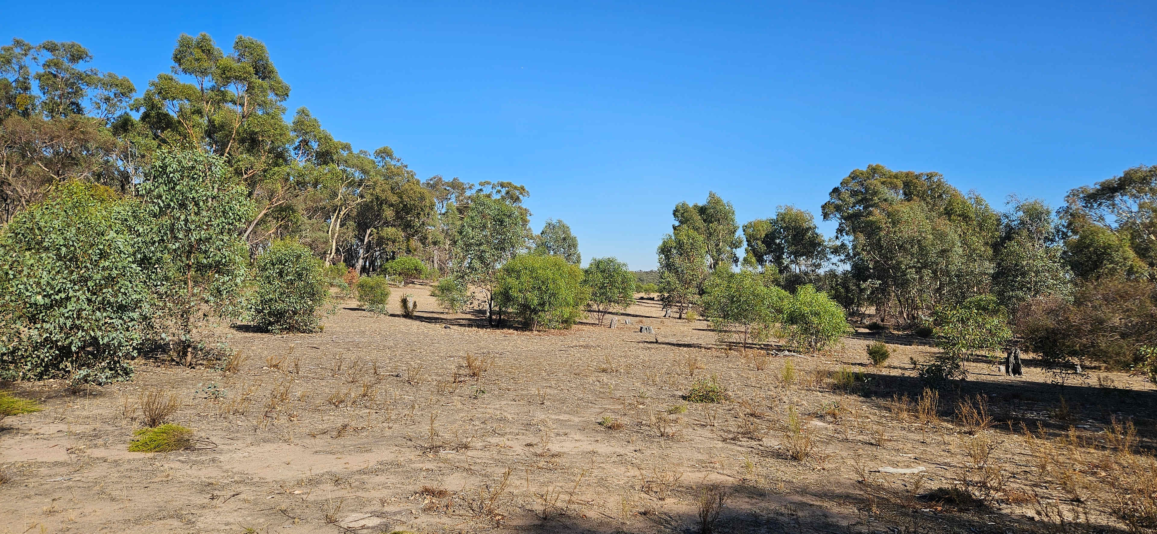 Somerville Park   (Bendigo)