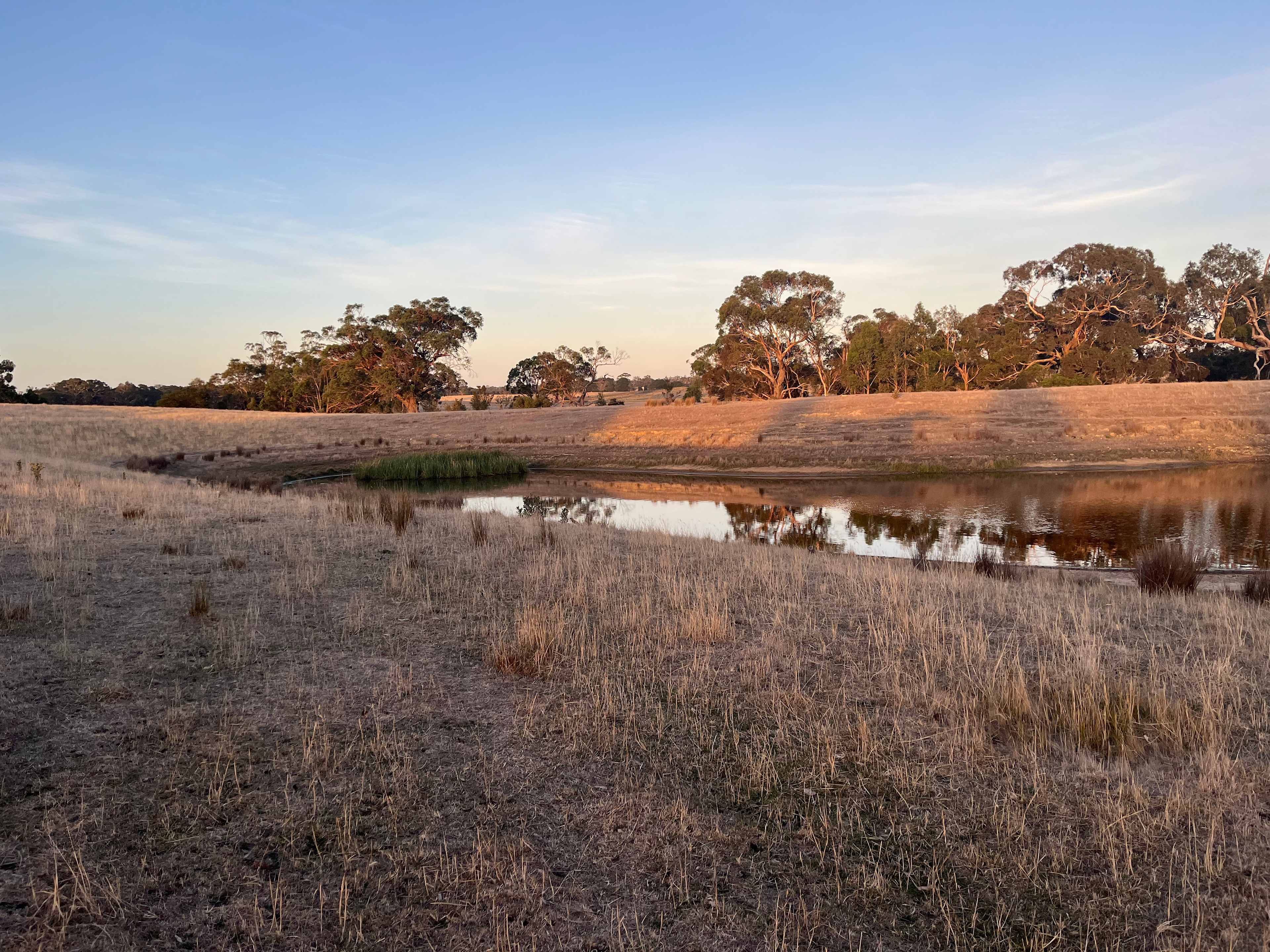 Tea Tree Creek  Bush Camp