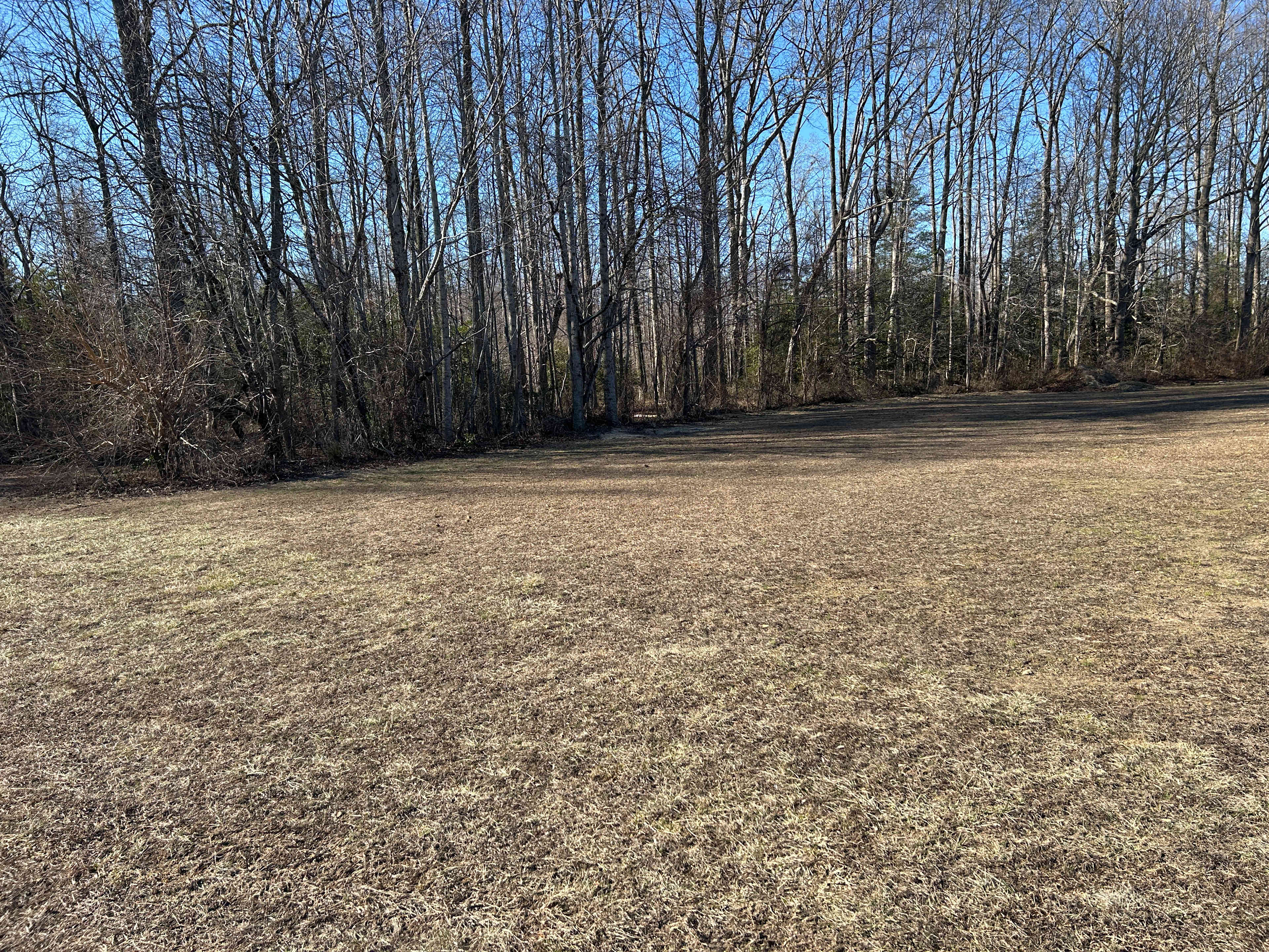 This is your camping area. Pick anywhere from the fence to the woods.