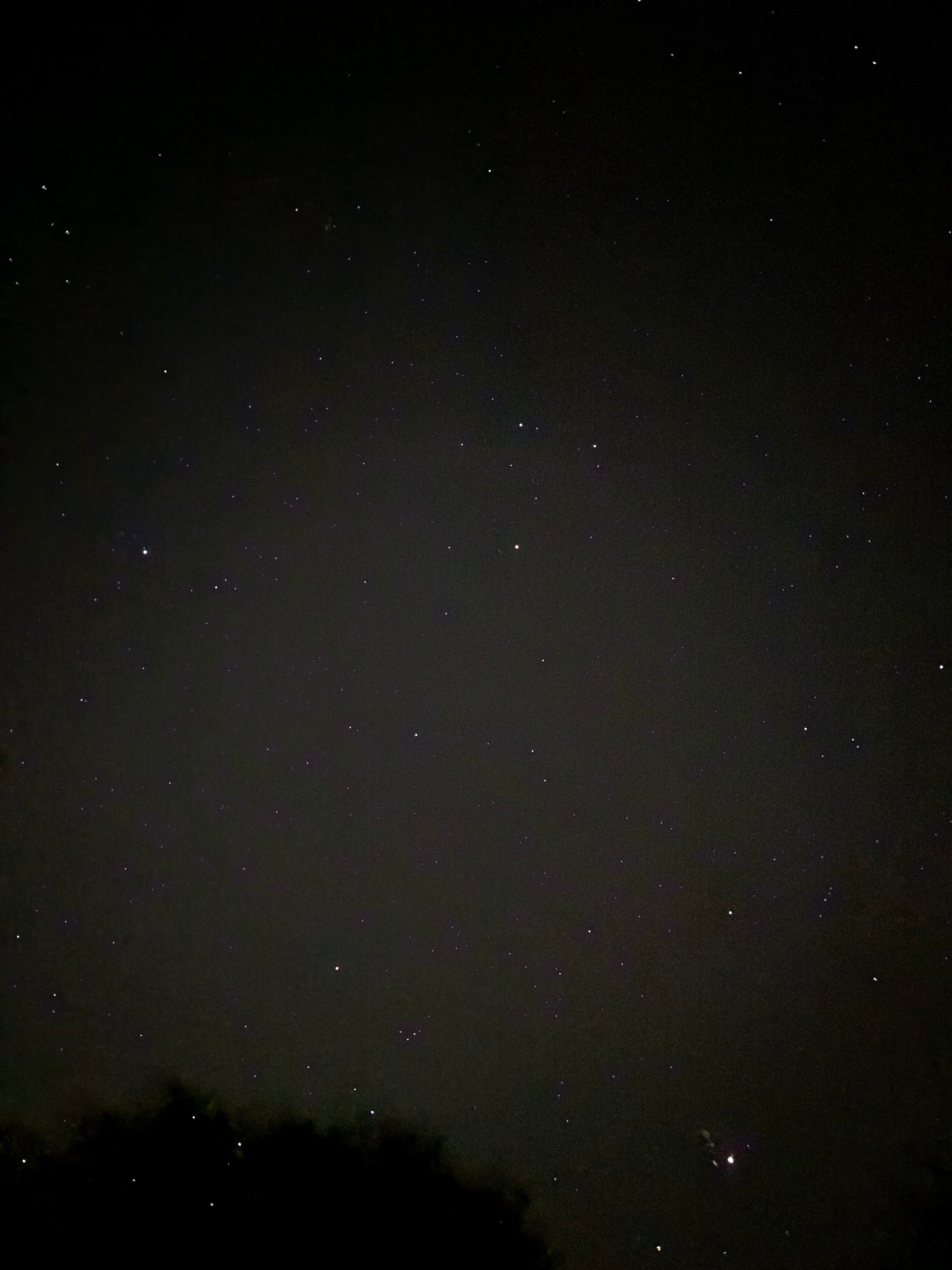 Starry night outside the camper