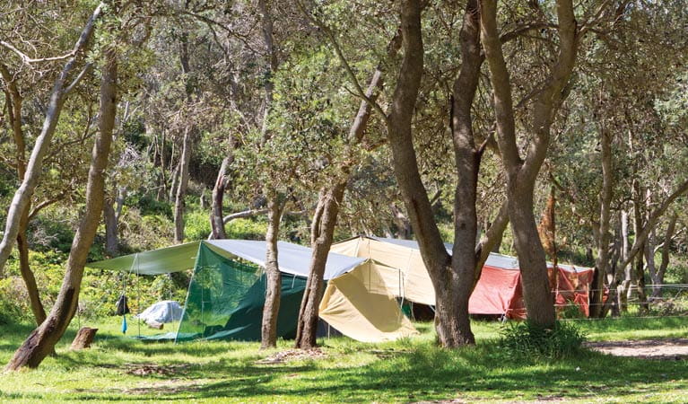 Pebbly Beach Campground