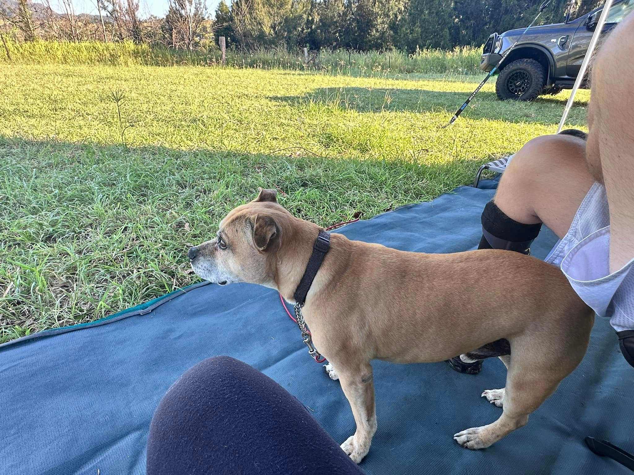 At Camp