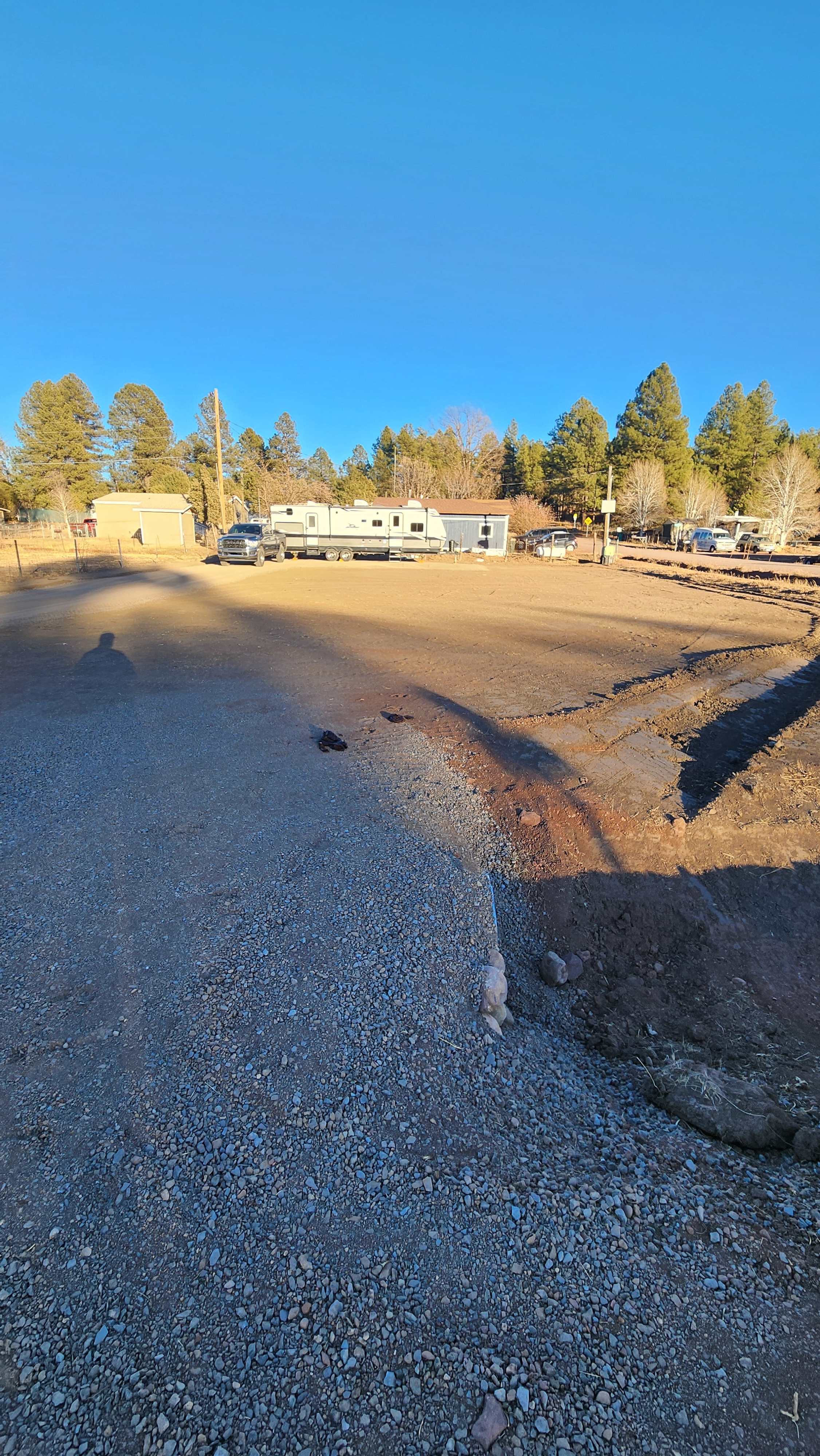 Whispering Pine