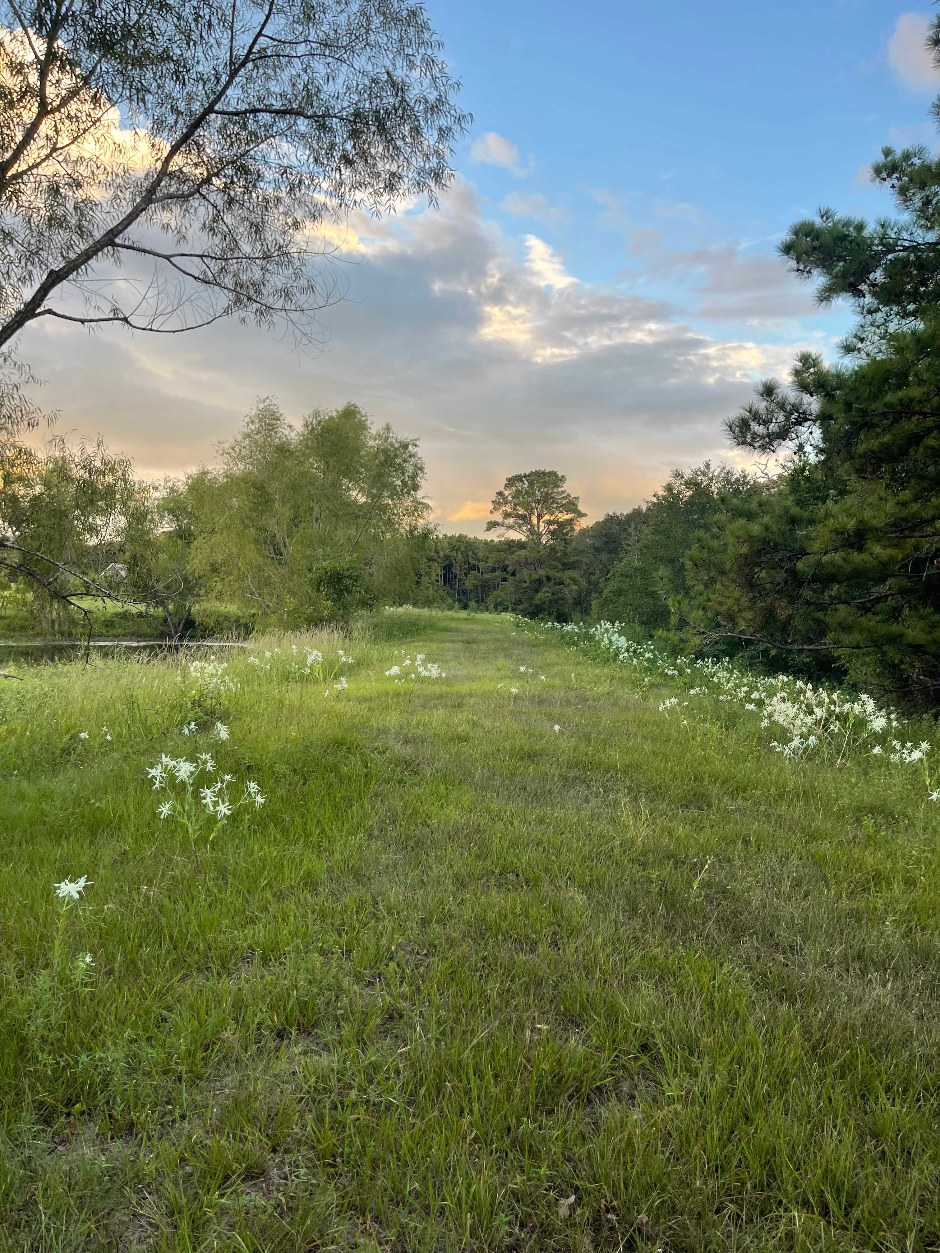Stegles sanctuary