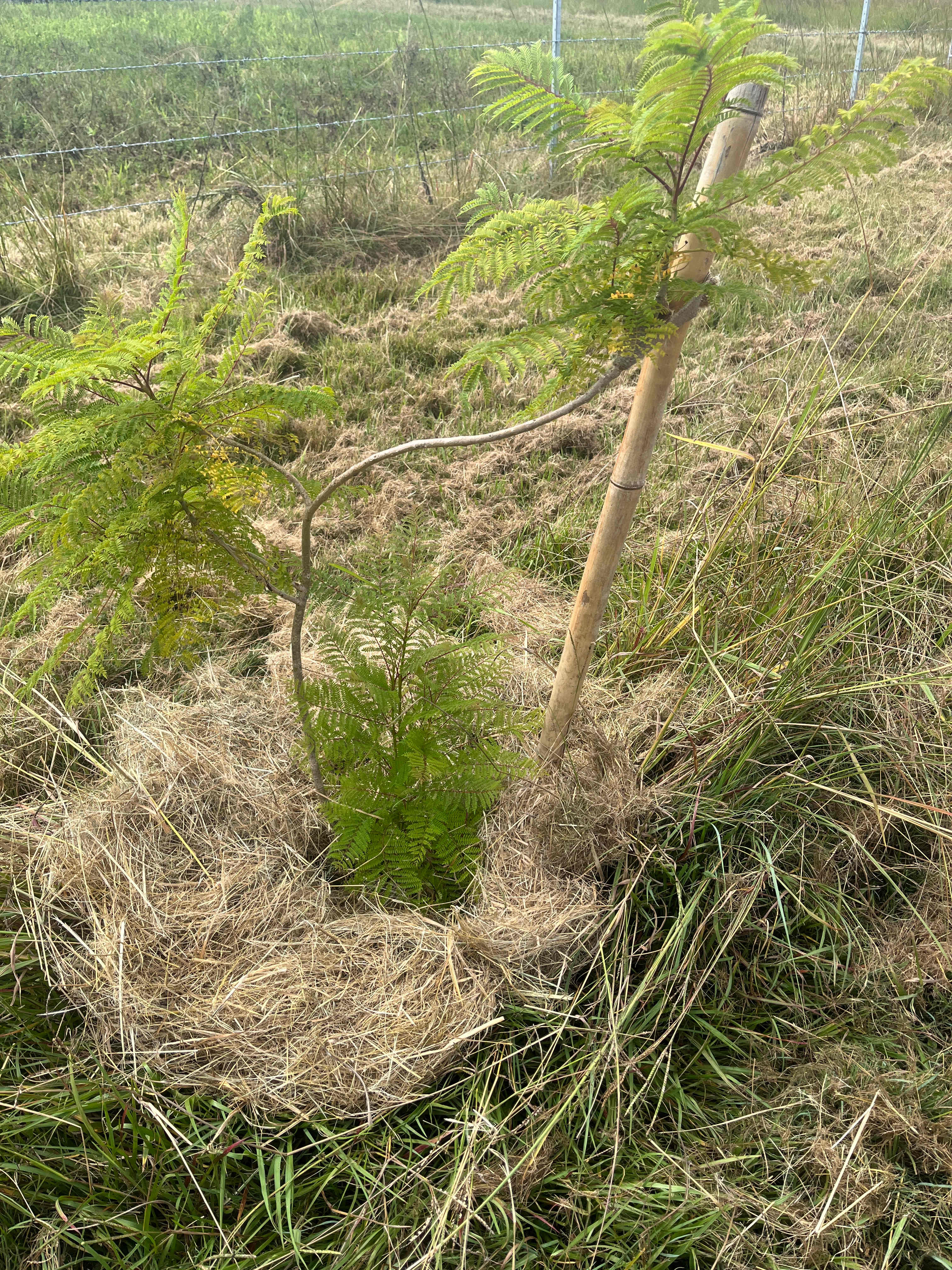 Eden Creek Sanctuary