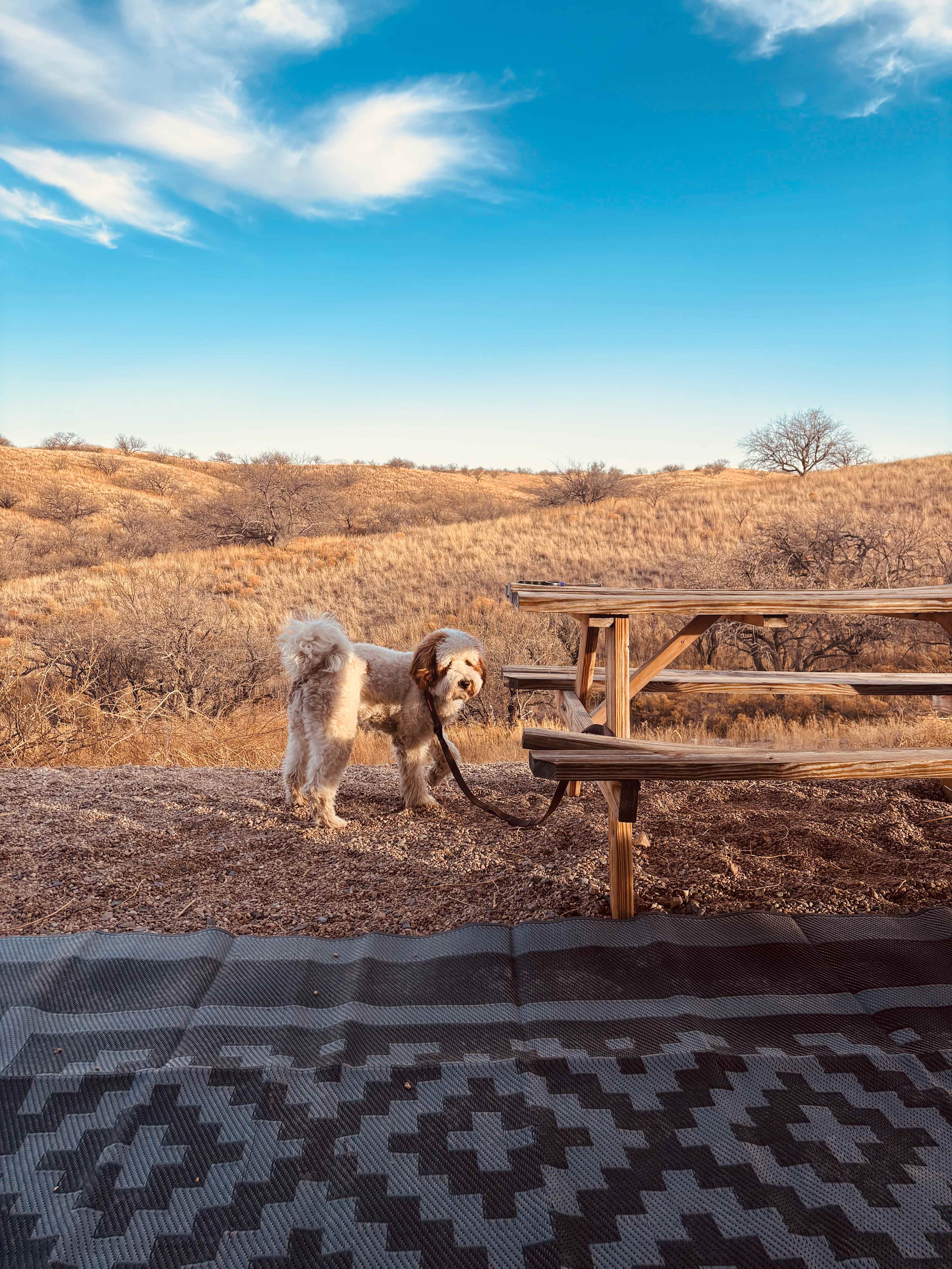 Exception Ranch RV Site