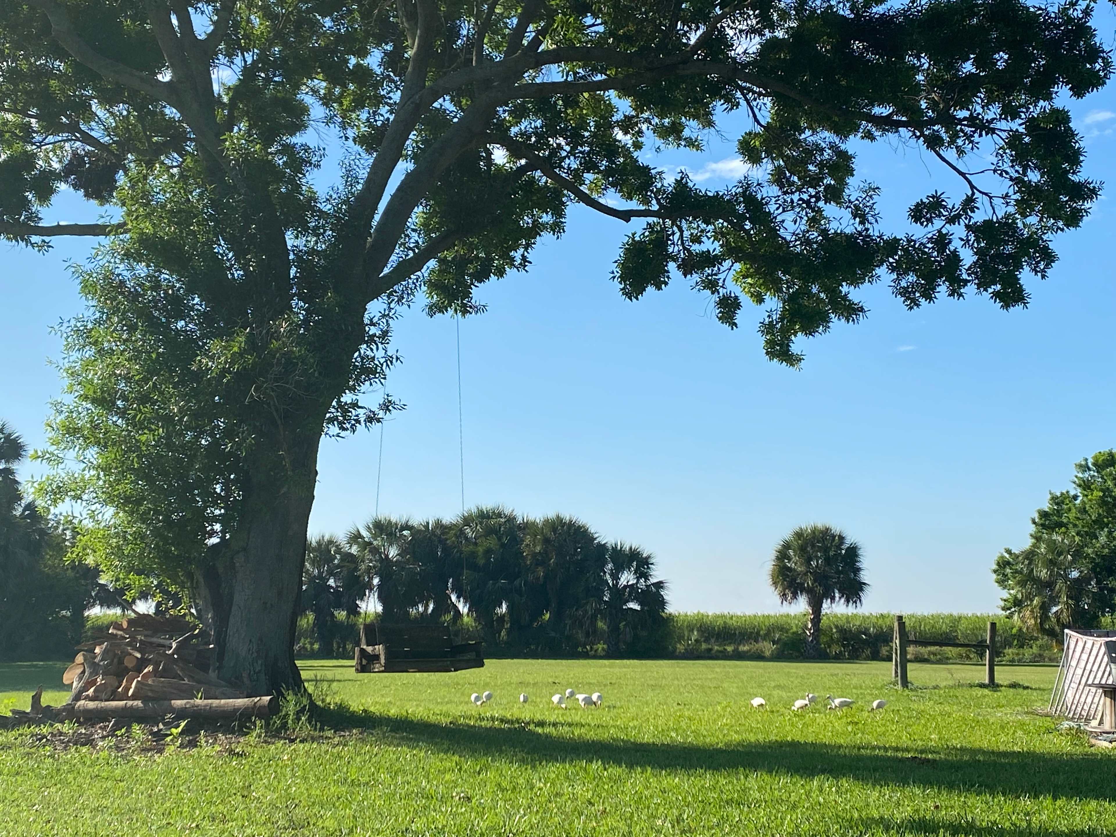 Melissa’s Peaceful Place