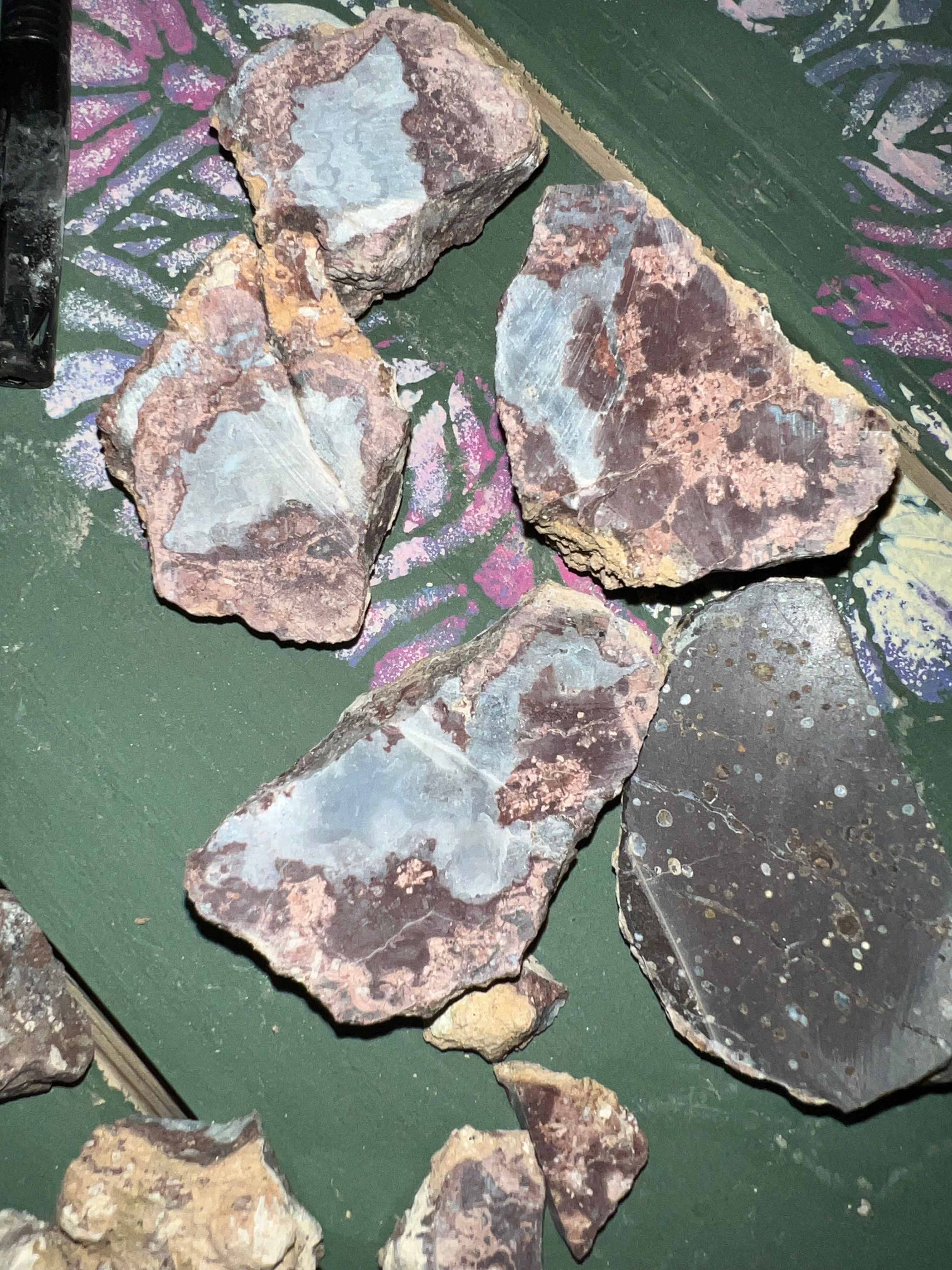 Cool thunder eggs from behind the property! 