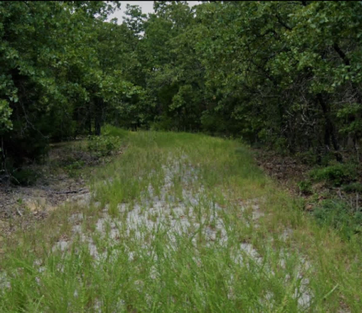 Lake Omaha Wooded Escape
