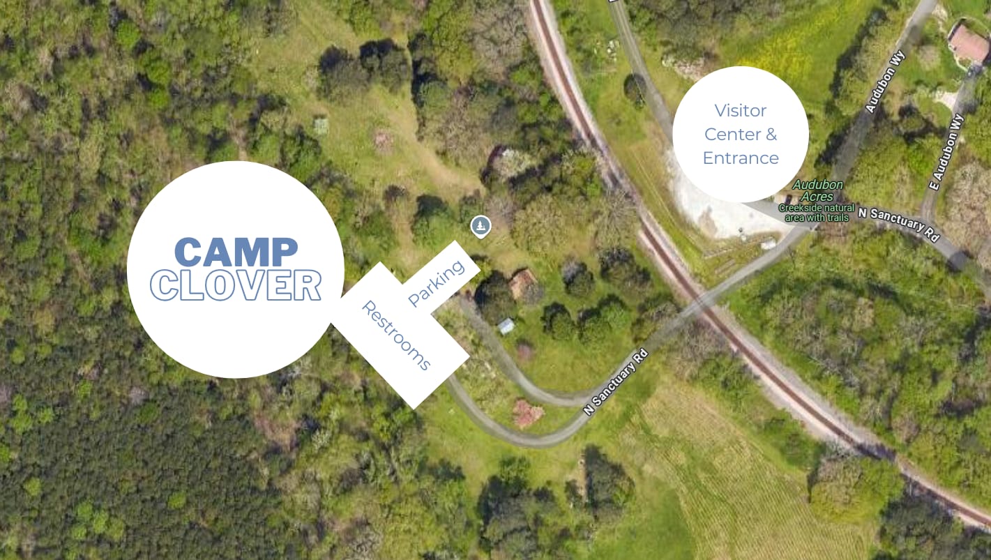 Nature Sanctuary in the City