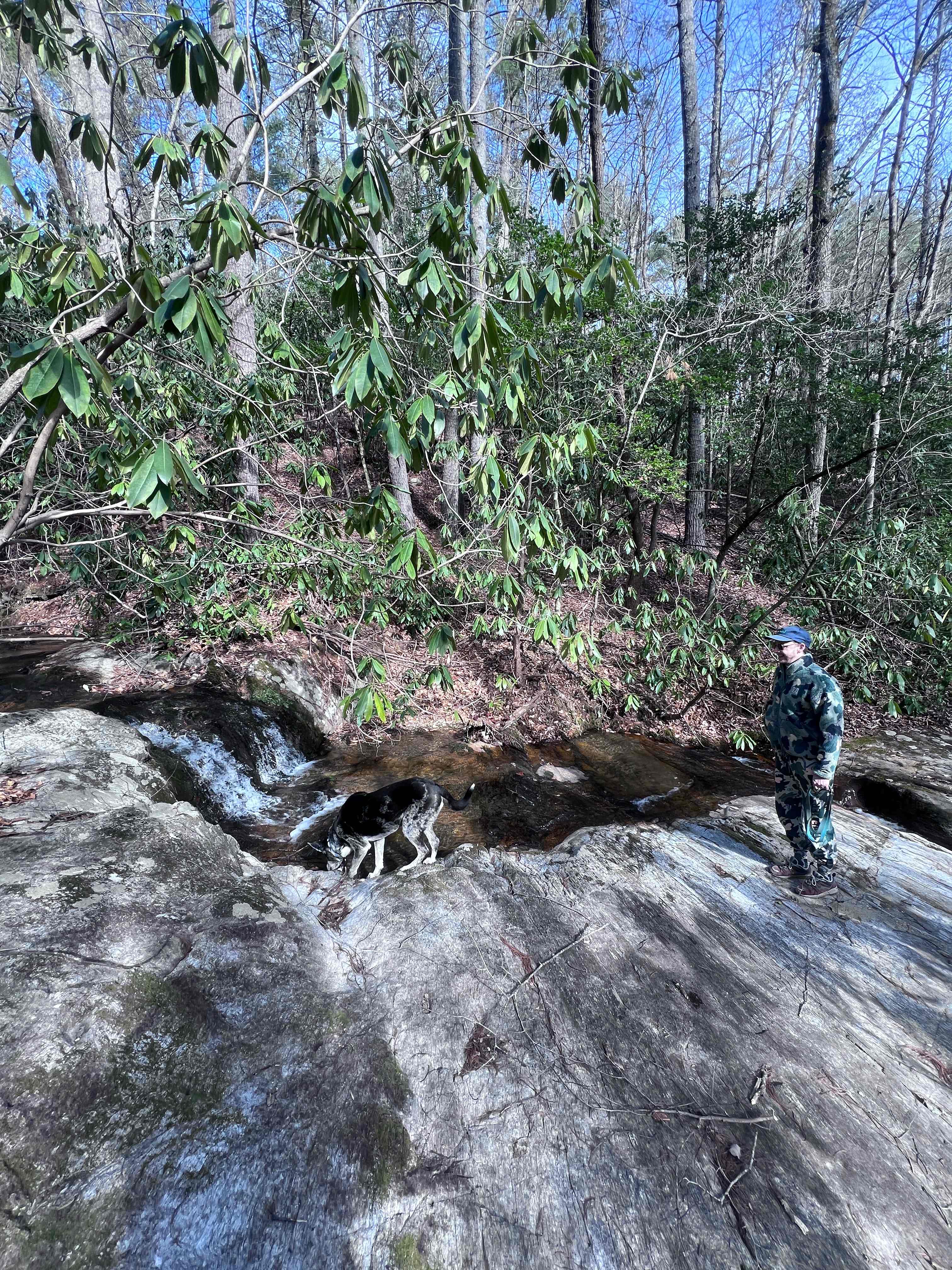 Waterfall frolics 