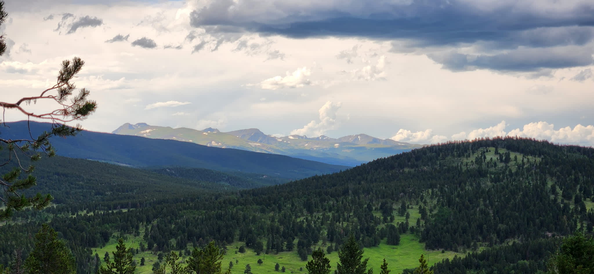 Mountain Vista