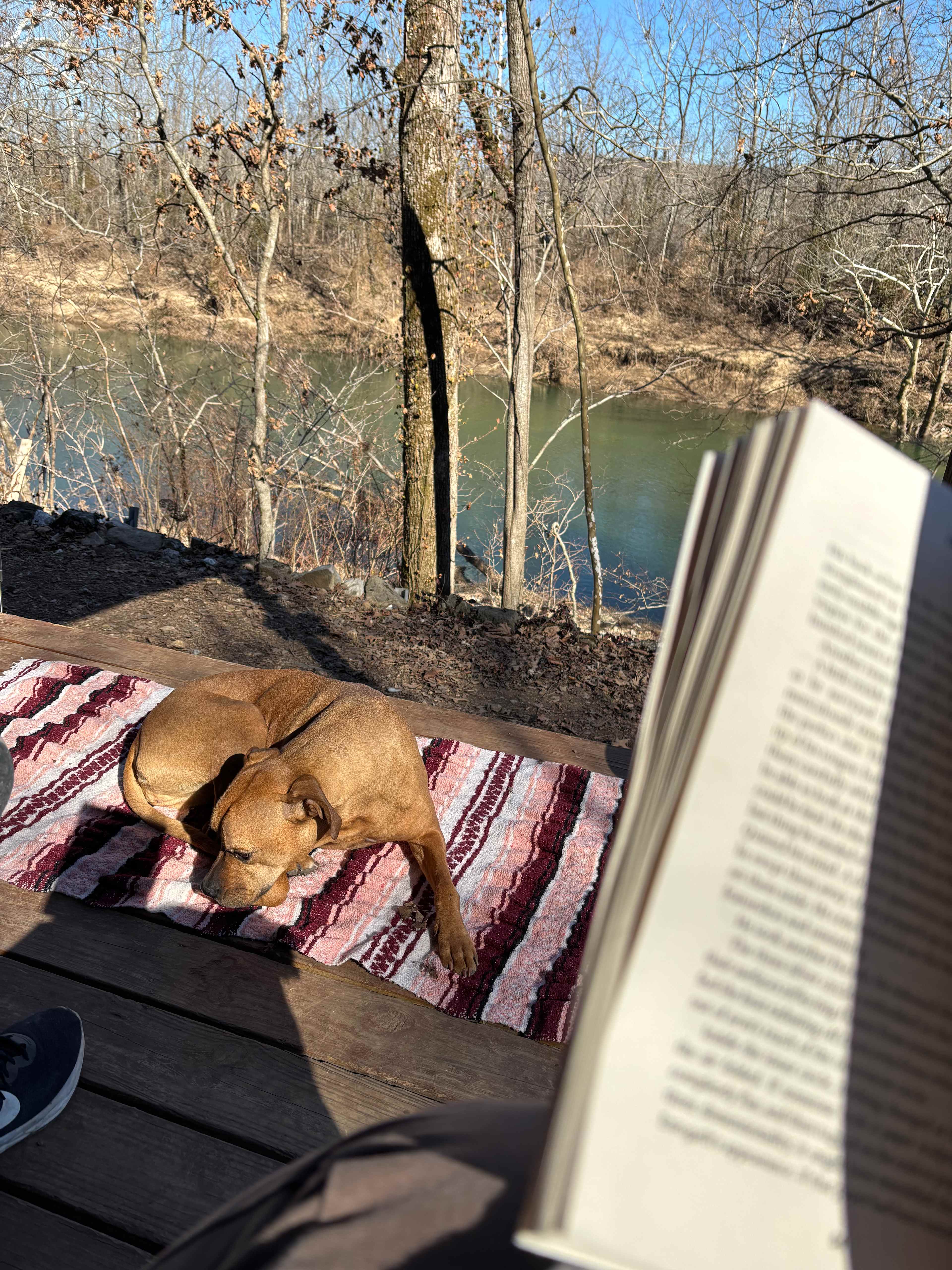 Ozarks Piney Bend Riverfront
