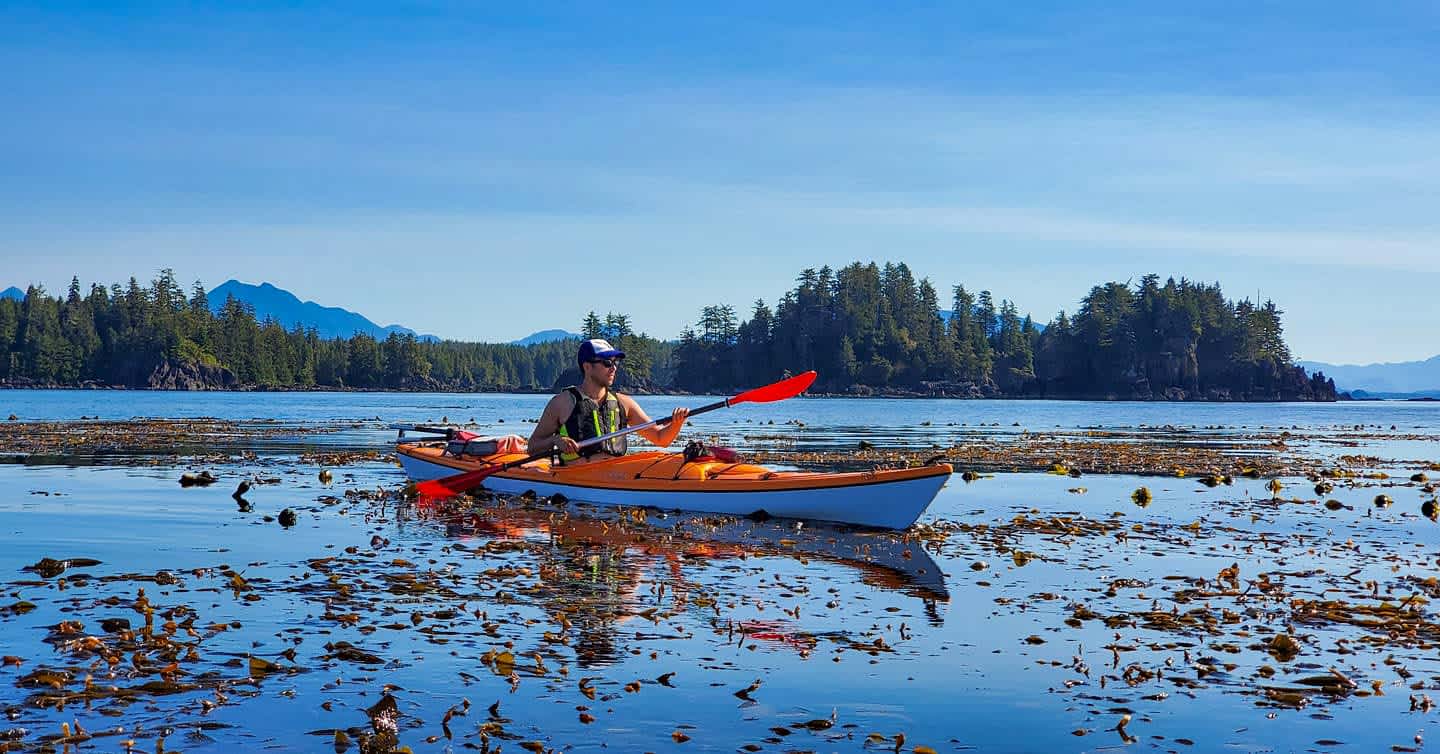 Kelp Forest Cove