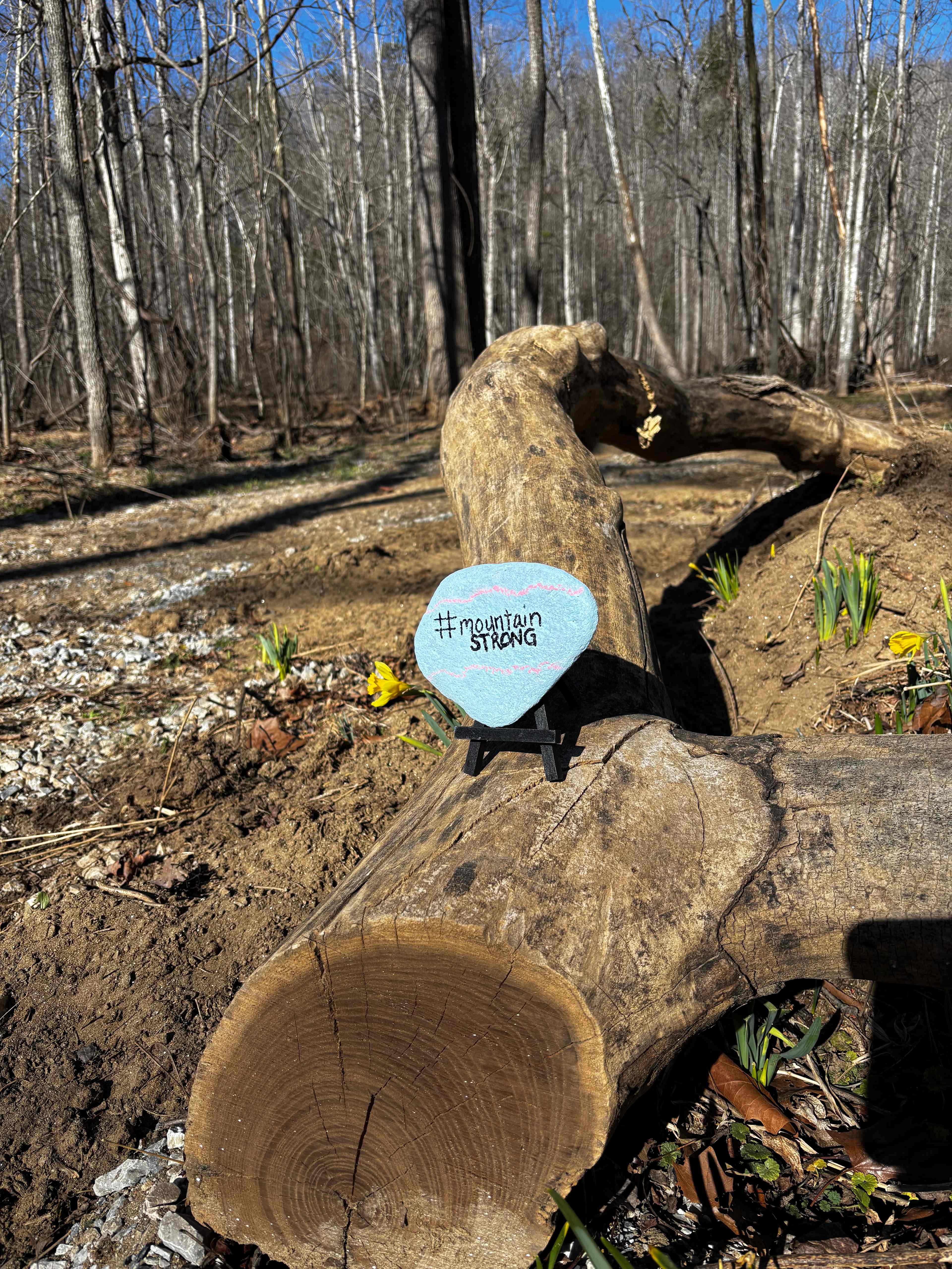 TangleWood Creekside Campsites