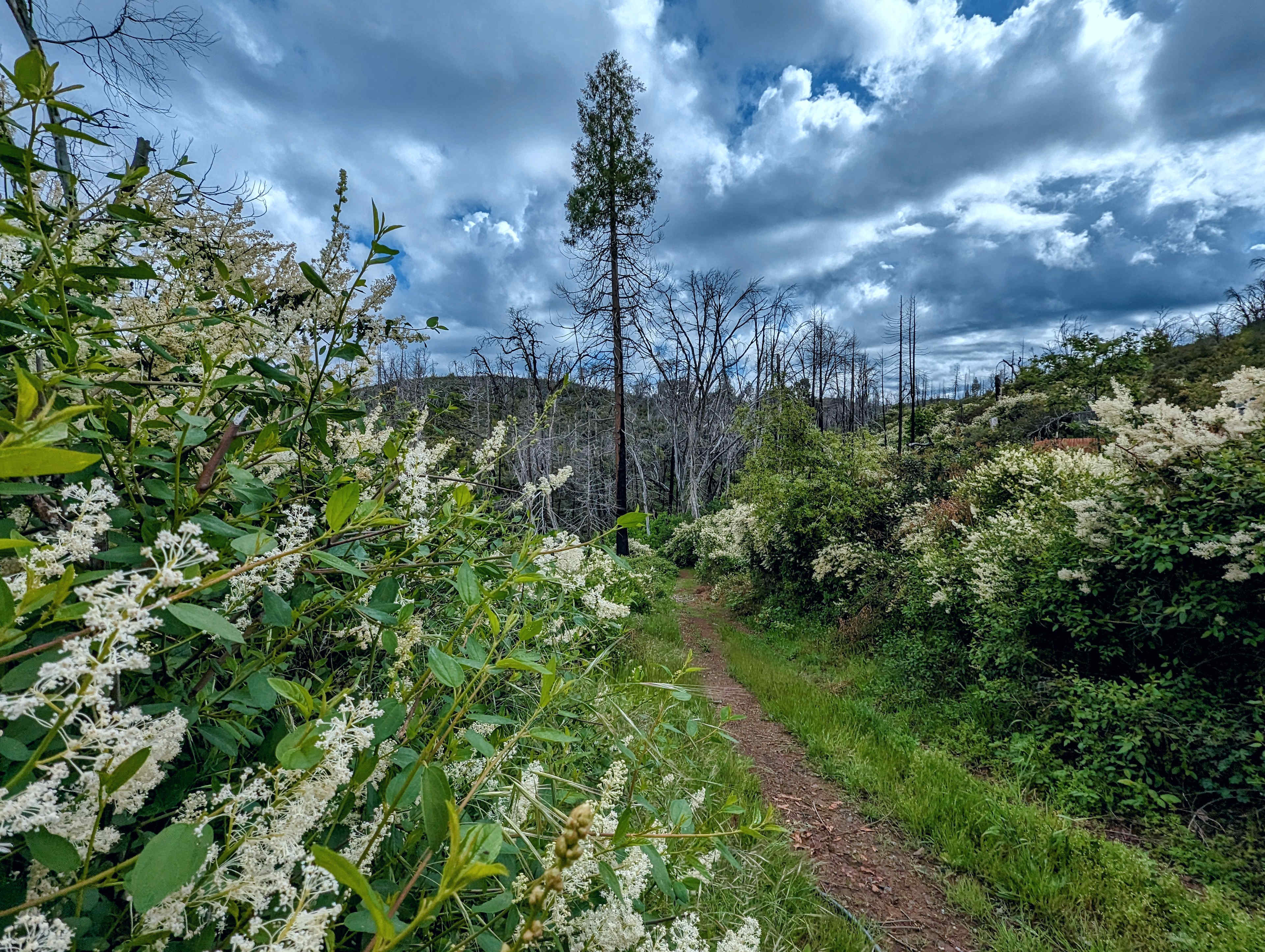 Private Hiking In Gold country