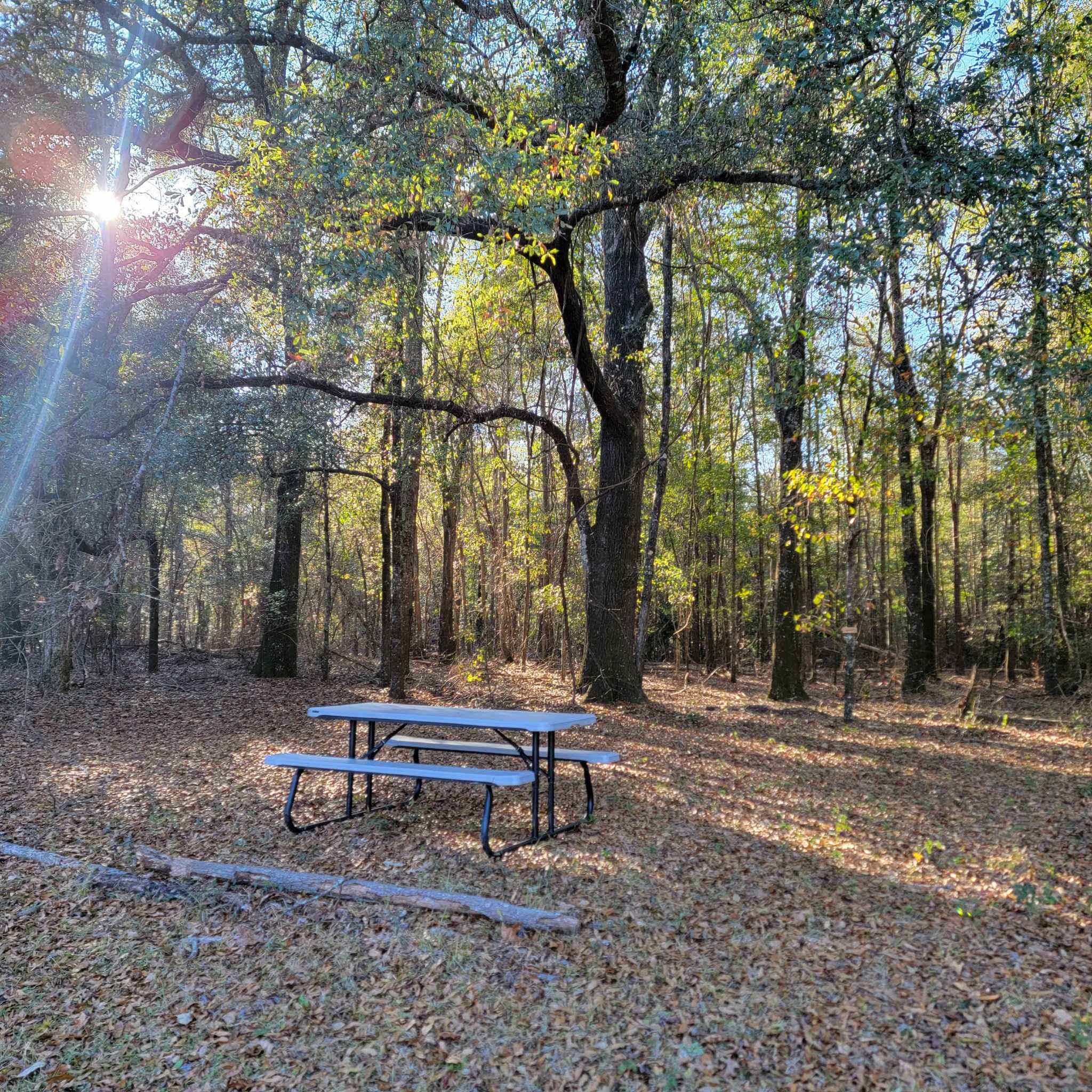 The Pecan Orchard CampGrounds