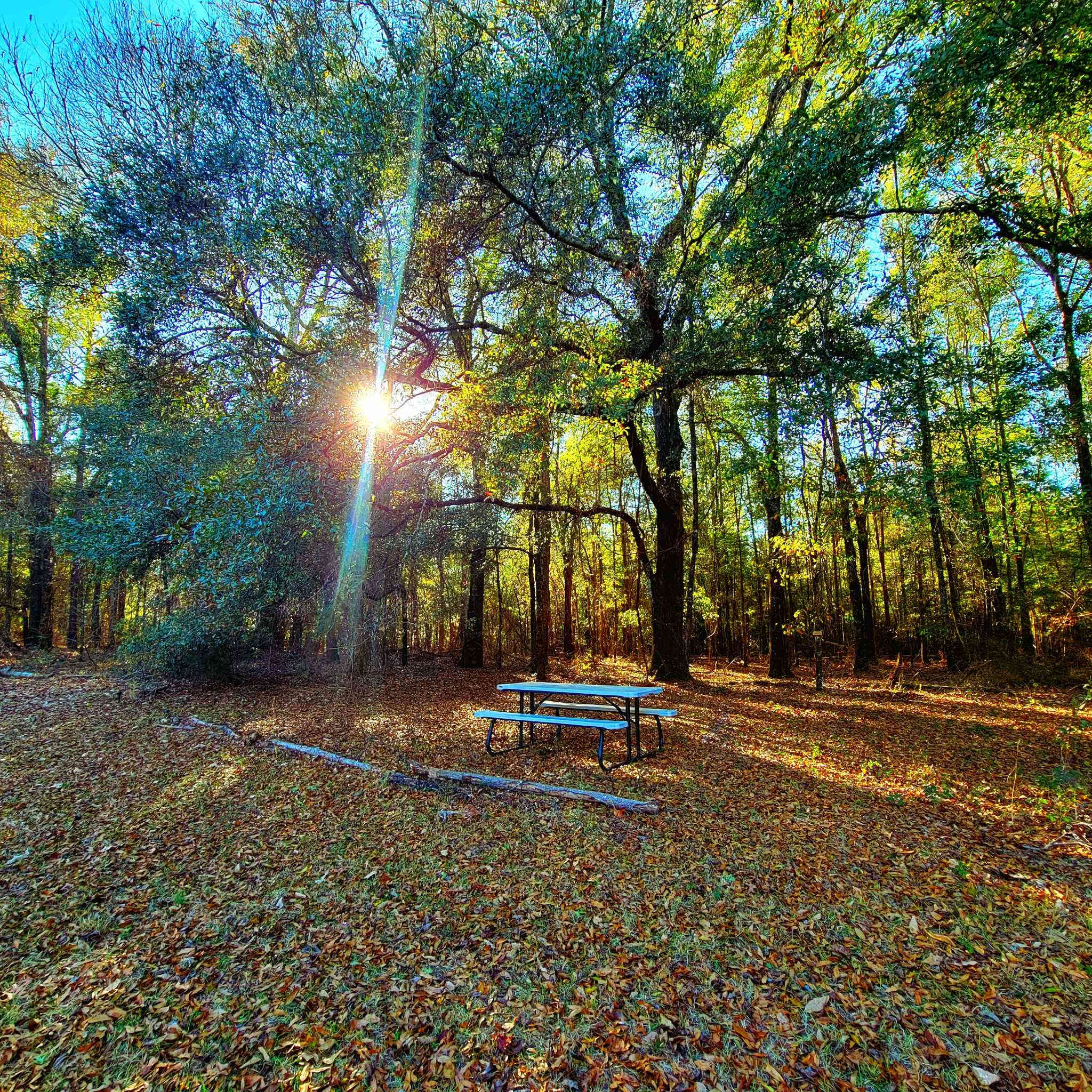 The Pecan Orchard CampGrounds