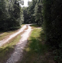 DunRoamin On Peters Pond
