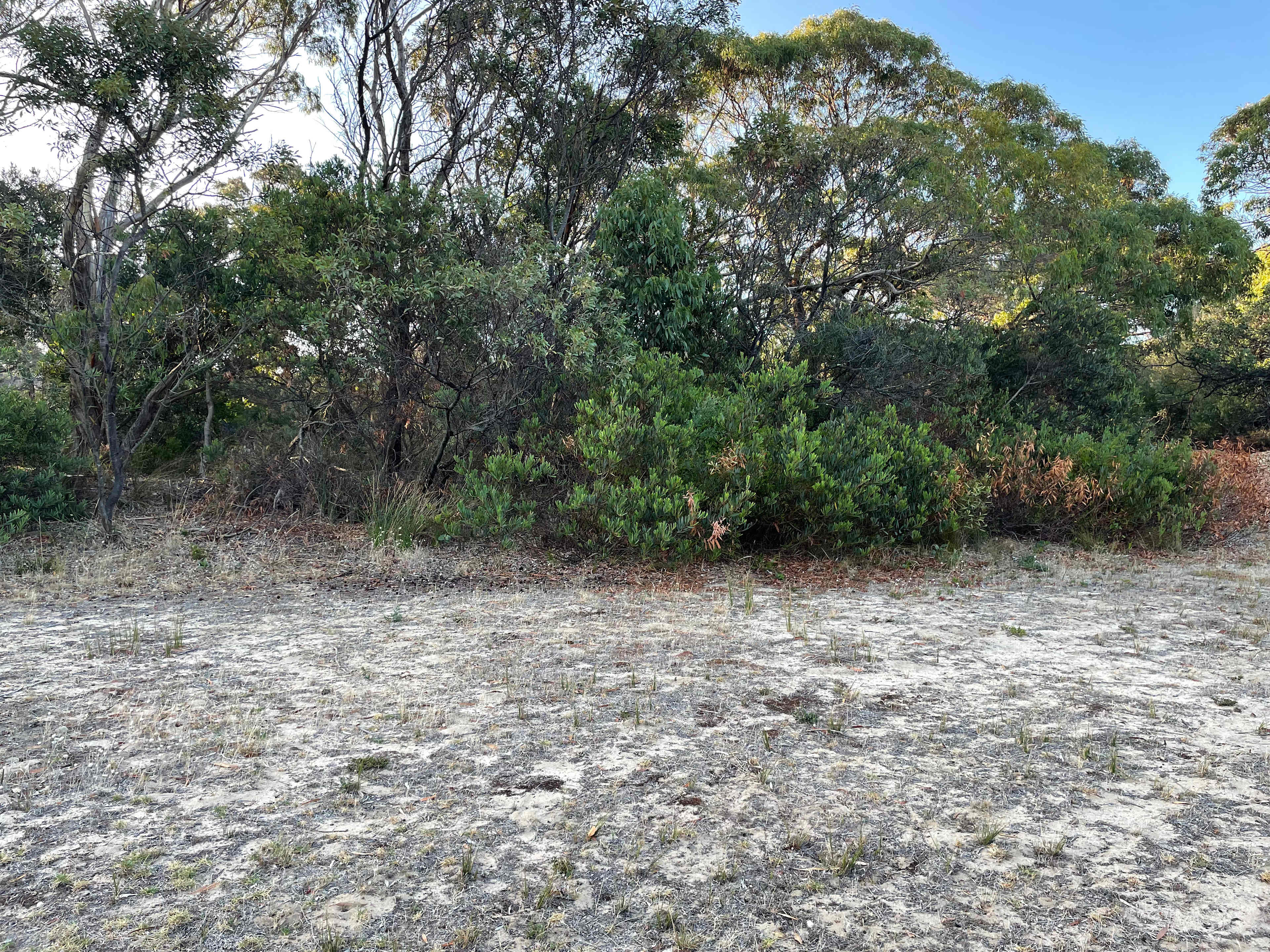 Aireys Bush Camp