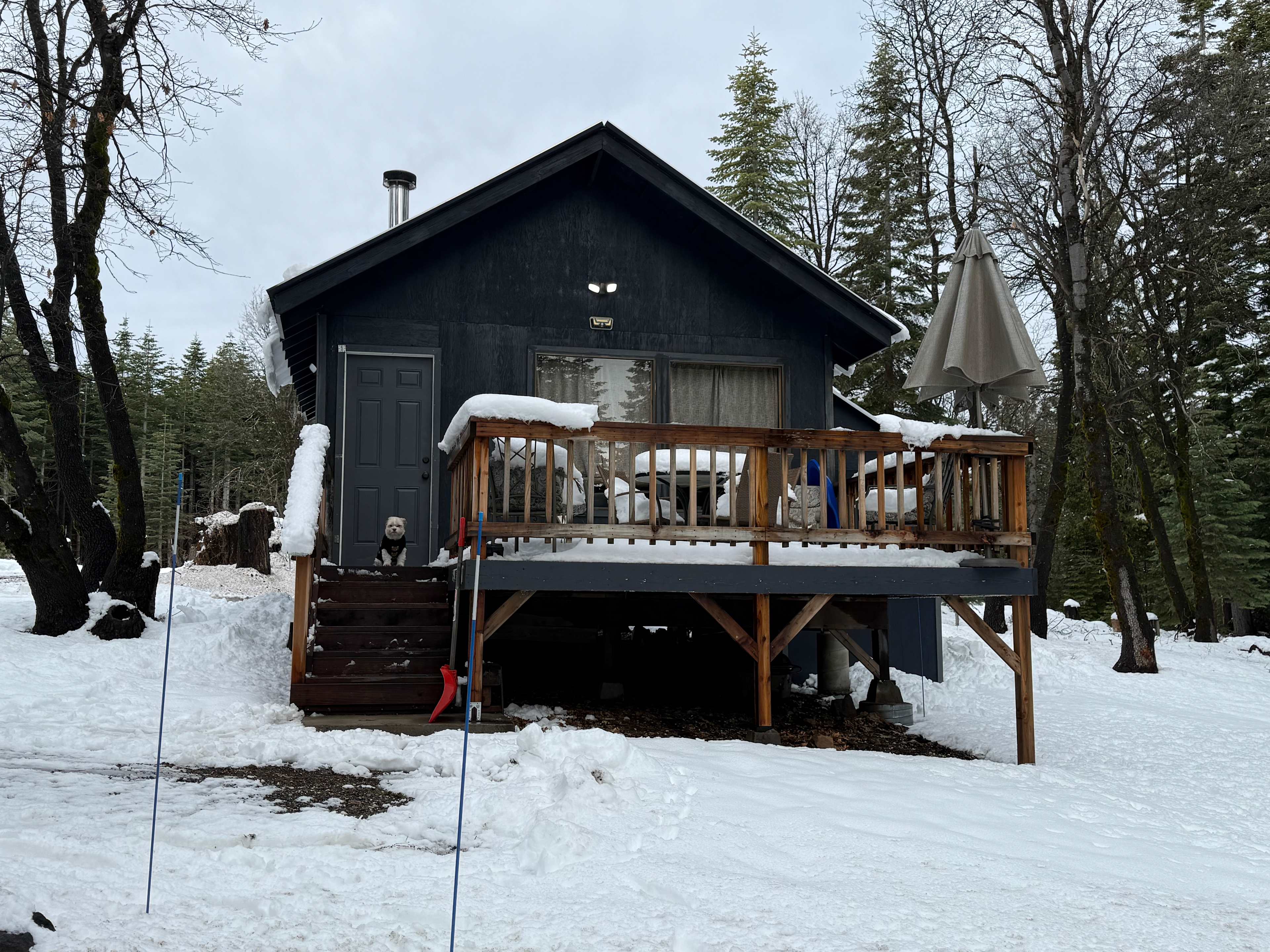 Lazy Bear Cabin