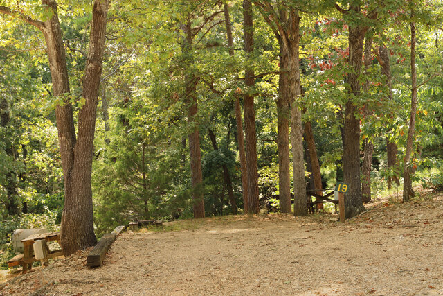 Tall Pines Campground