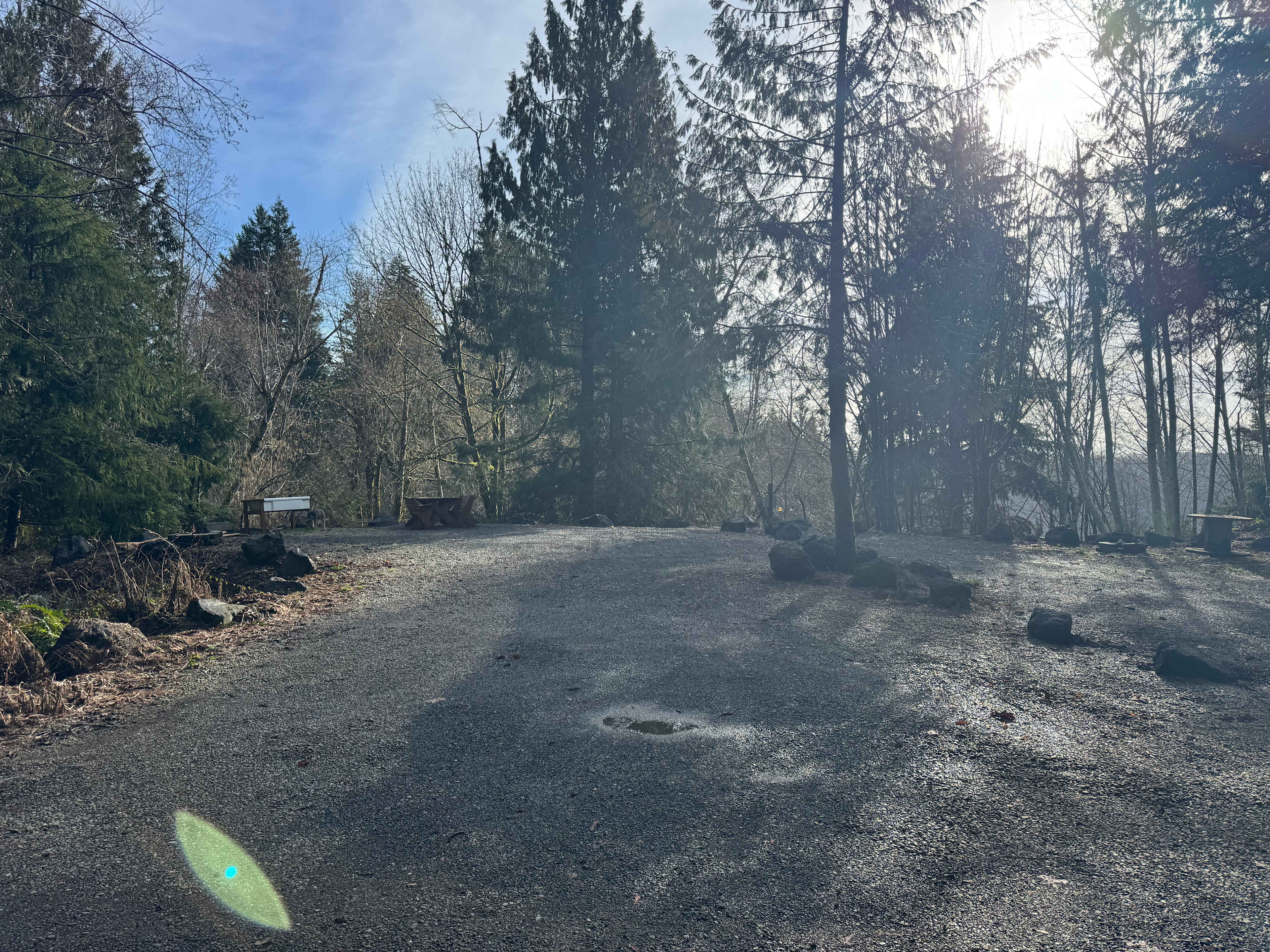 Site #1 - you can see the cedar grove on the left, and the small boulders on the right delineate Site #1 from Site #2. 