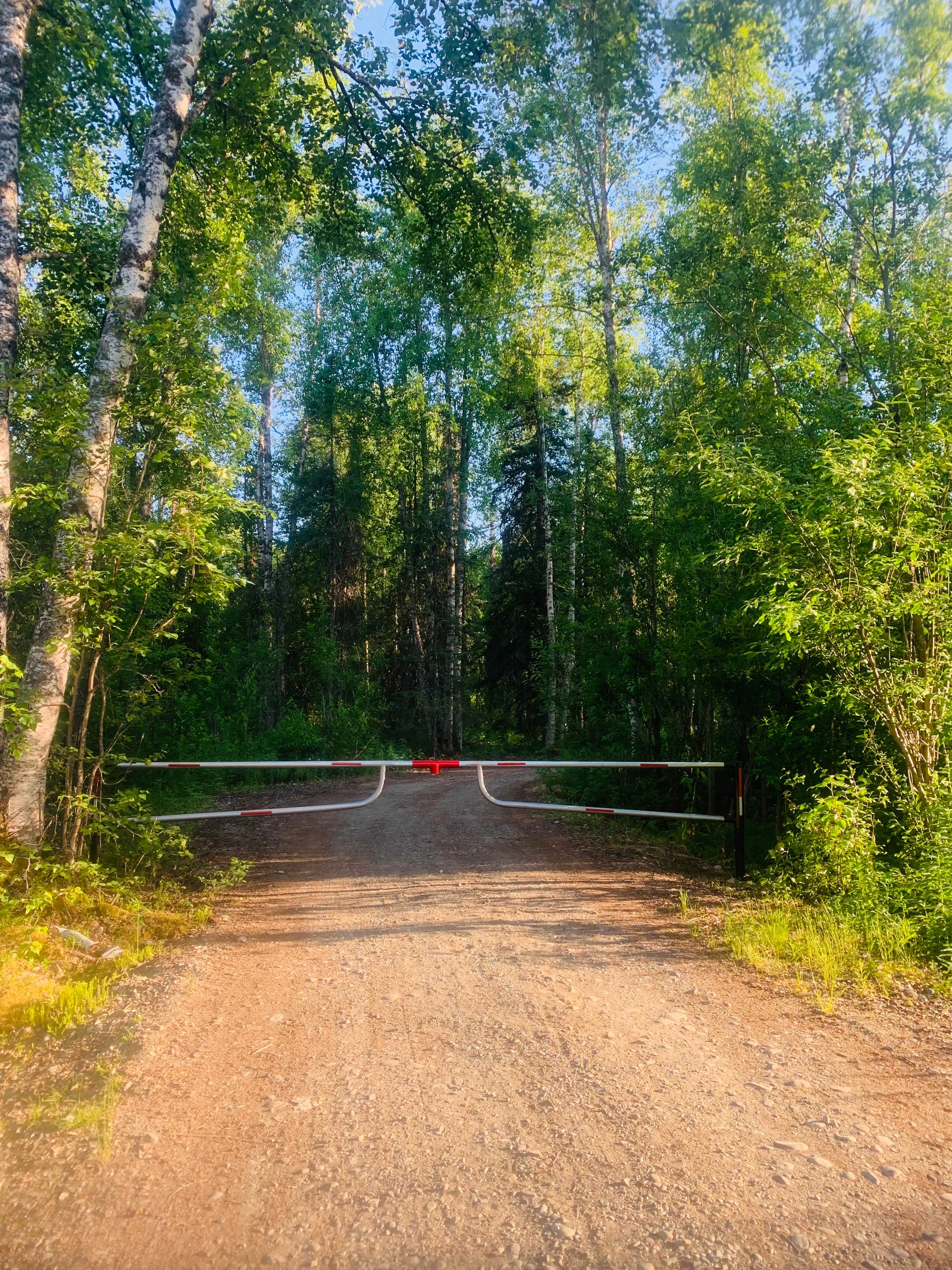 Talkeetna Lake Retreat