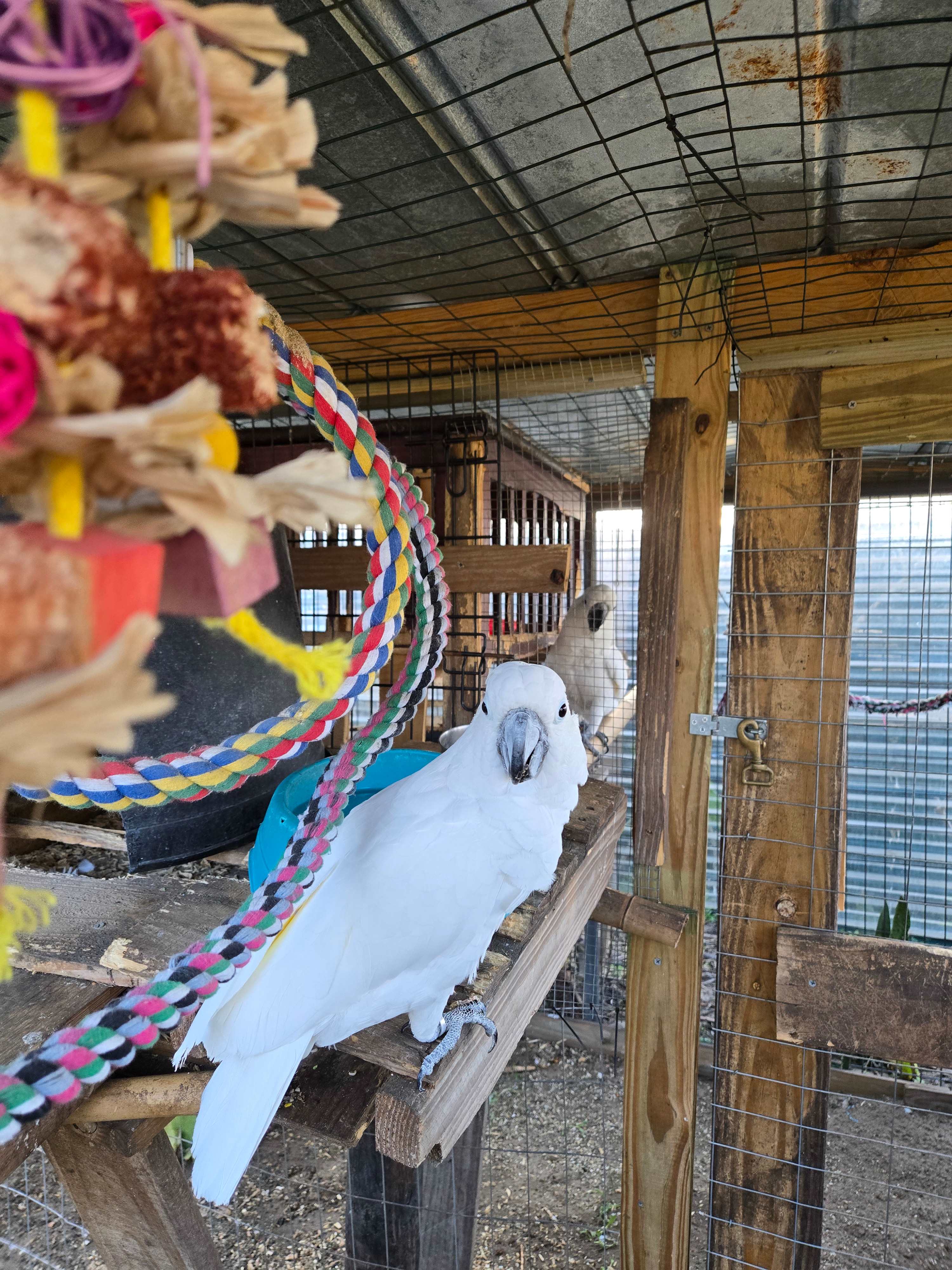 Gulf Winds Wildlife Sanctuary