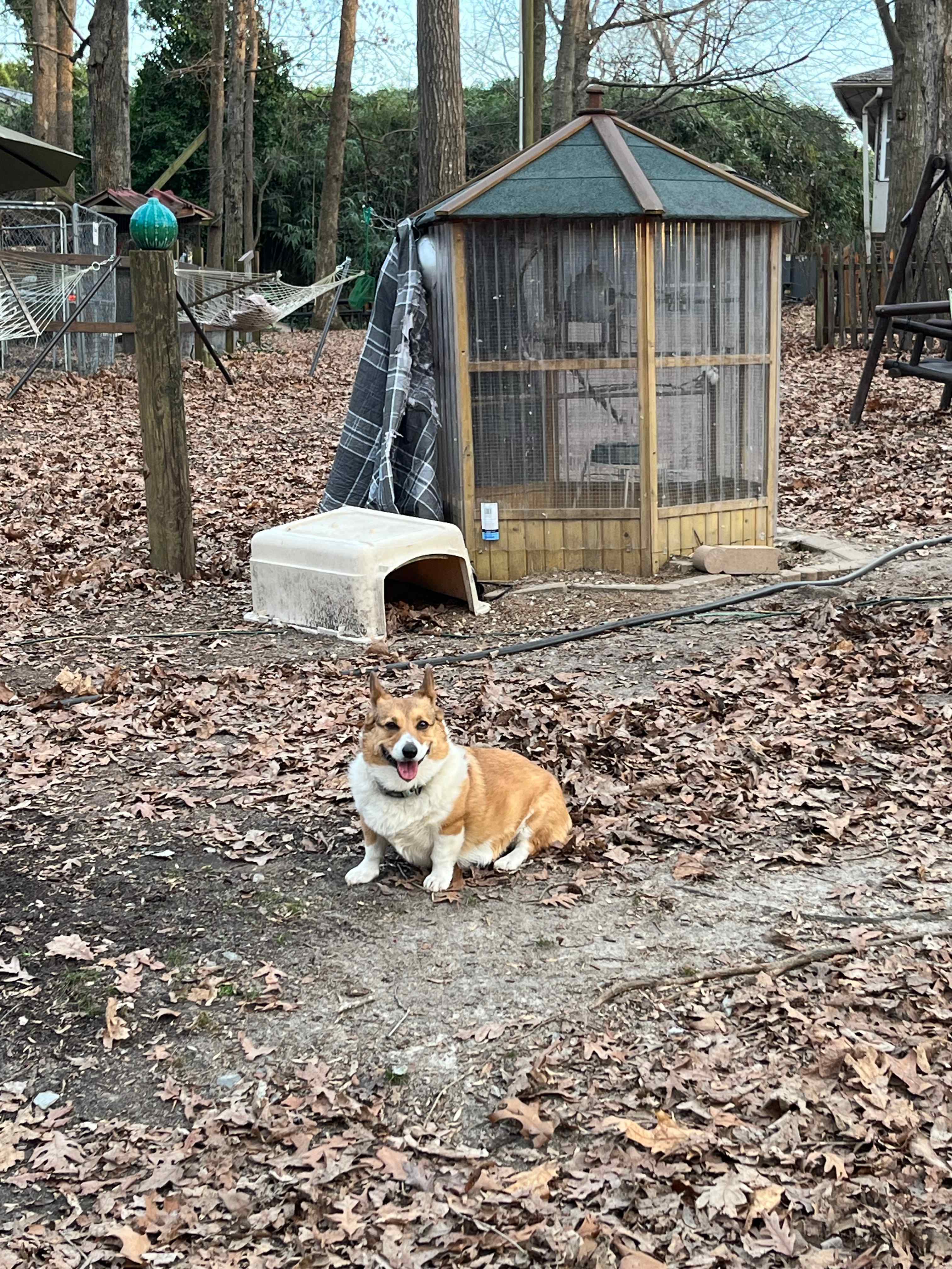 Animal Sanctuary and Peace Park