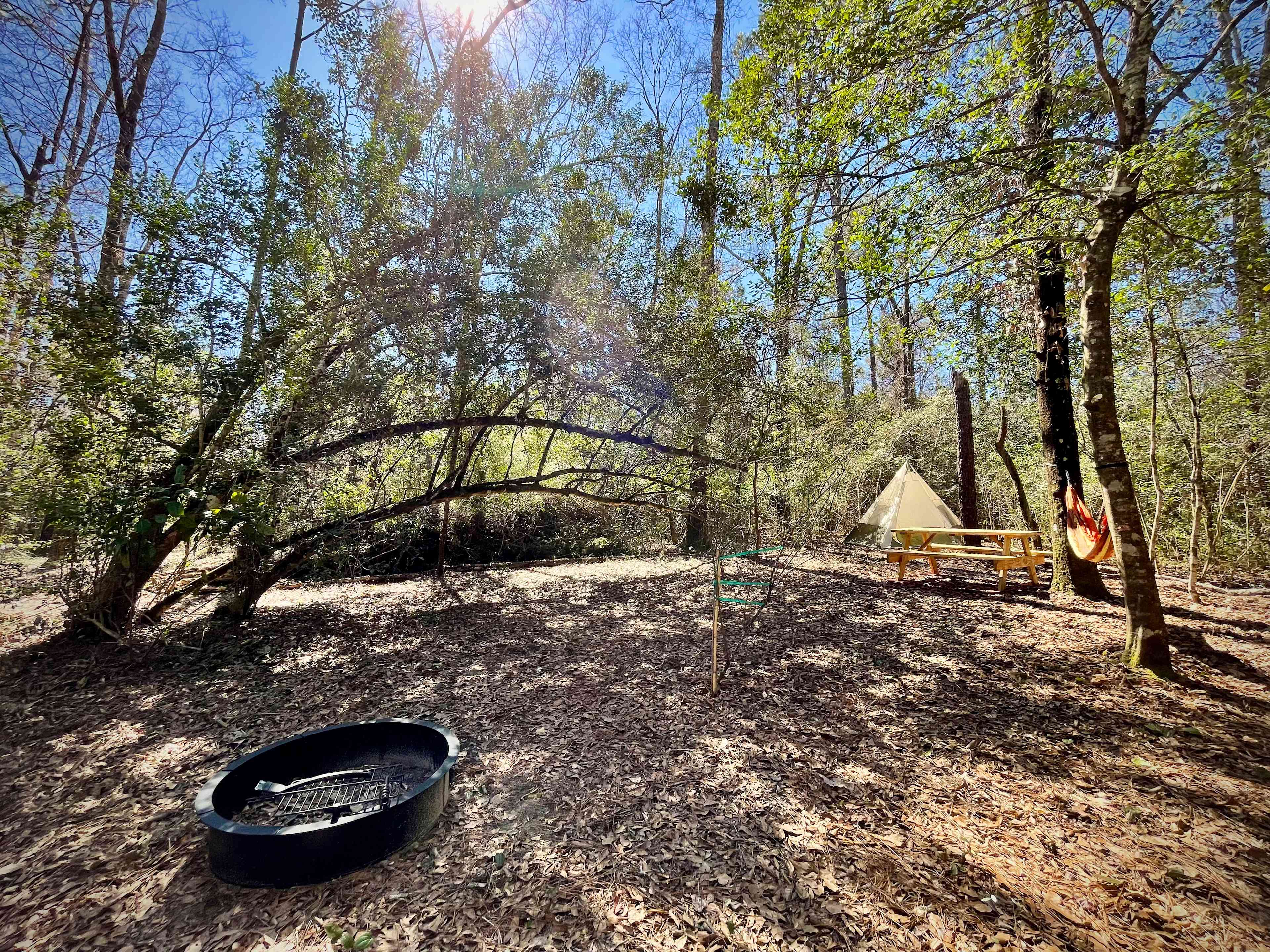 **TENT & HAMMOCK NOT INCLUDED** but are available for purchase or rent at the camp store! -- Each campsite only comes with a picnic table & fire pit ring with grill rack.  Basic camping supplies are available in the camp store!