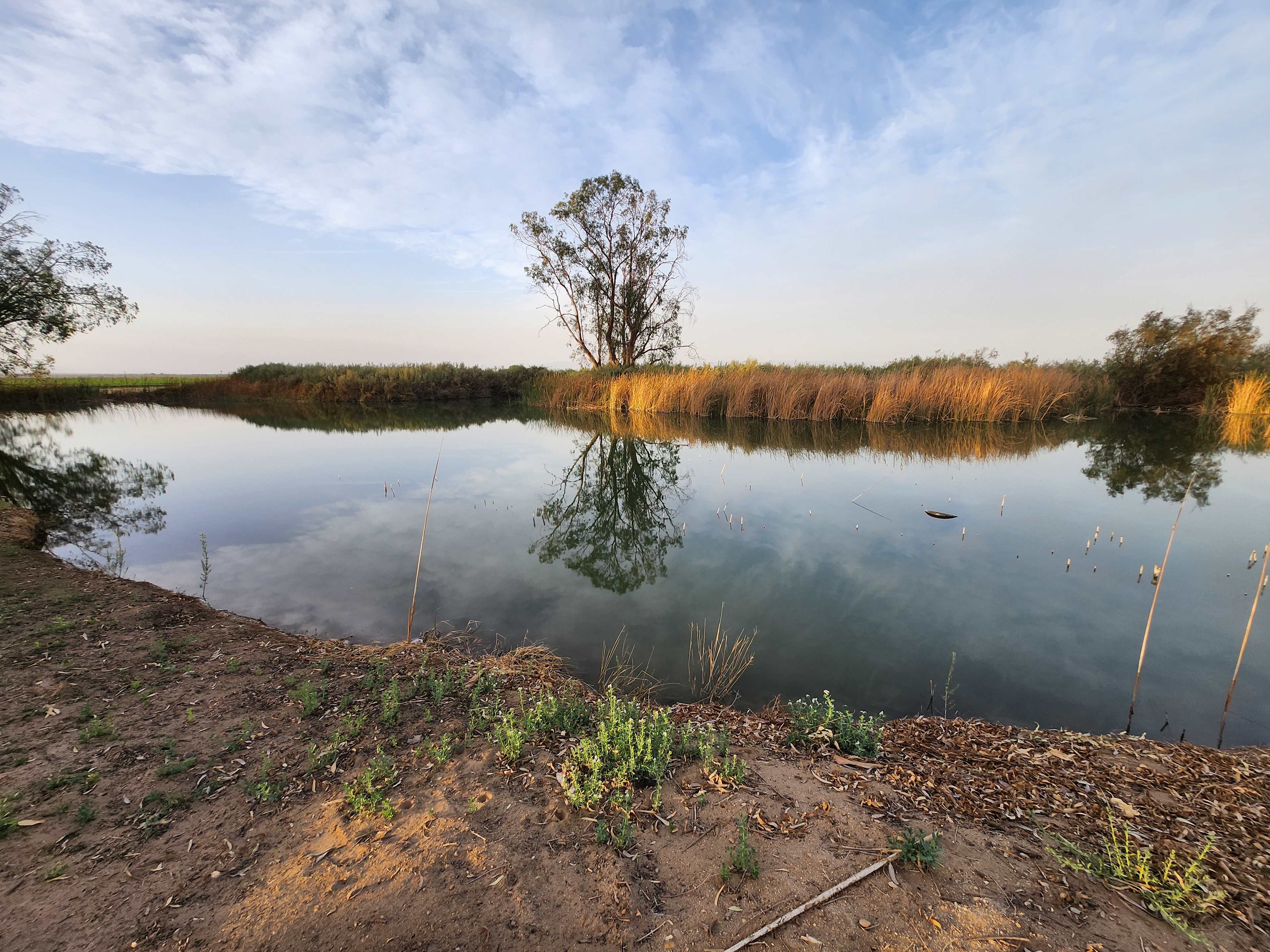 Oasis Ranch