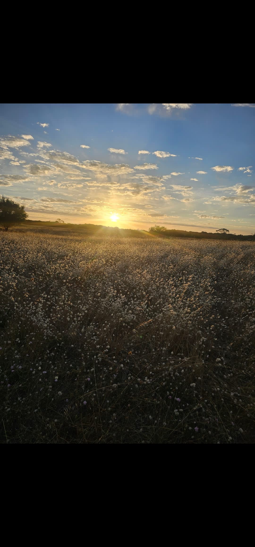 Beachport Bush Camp