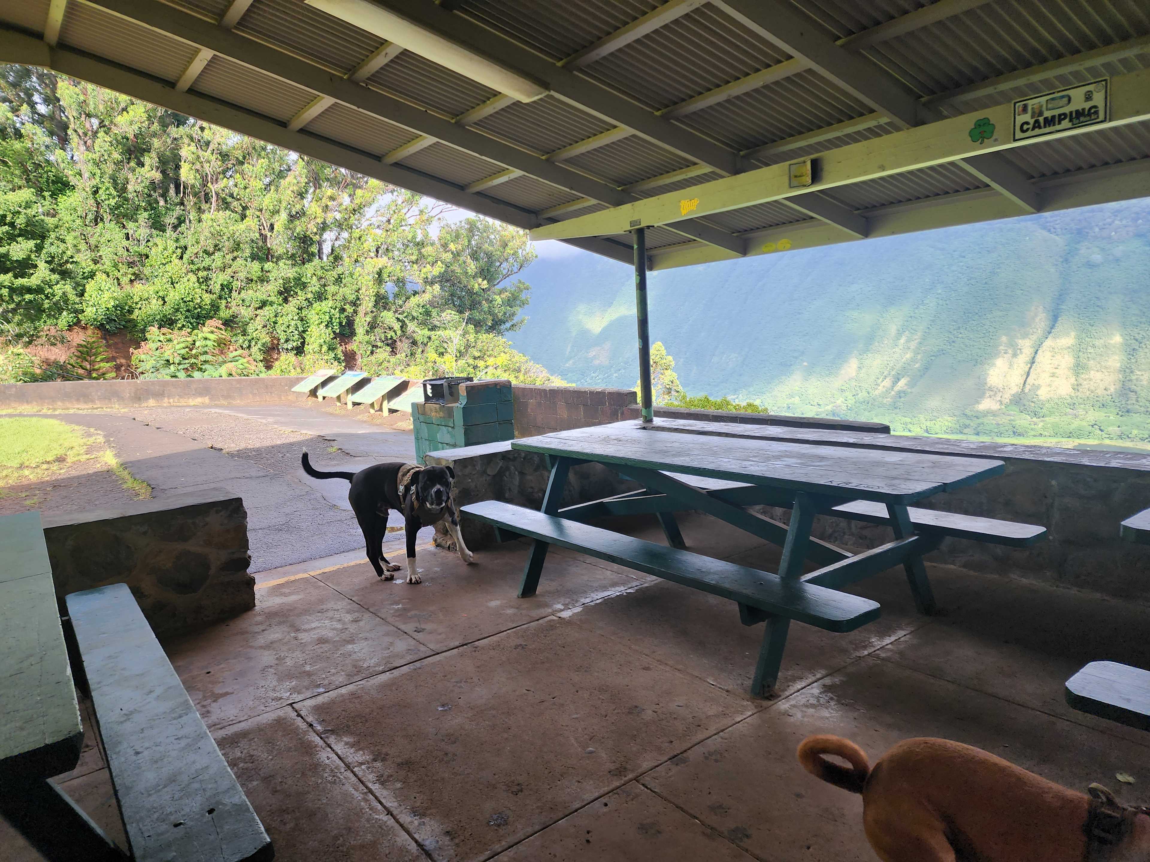 Waipio KOA