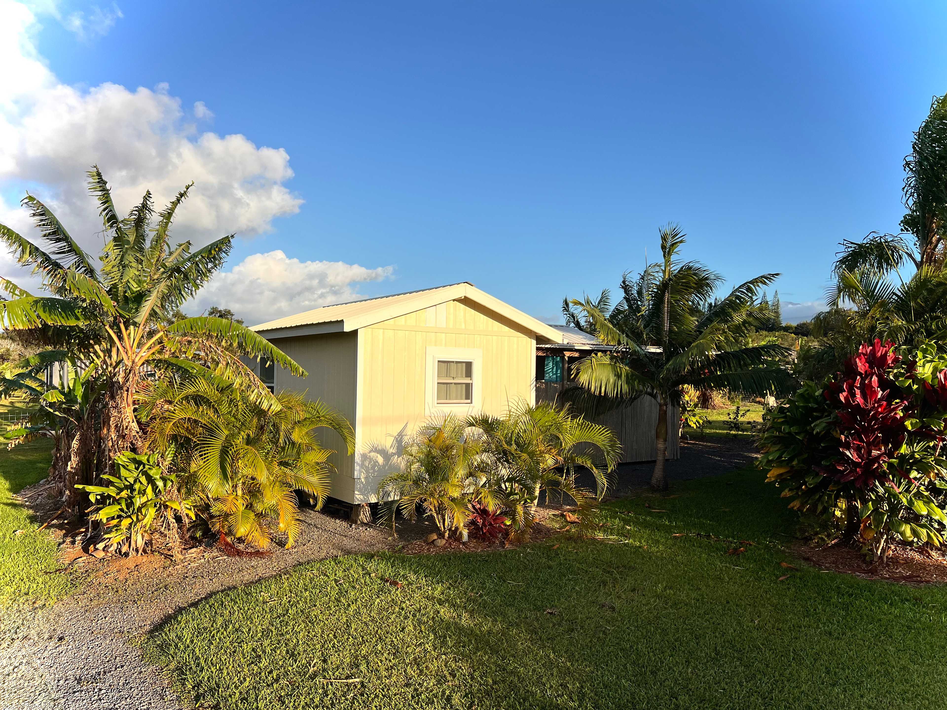 Northshore Experience