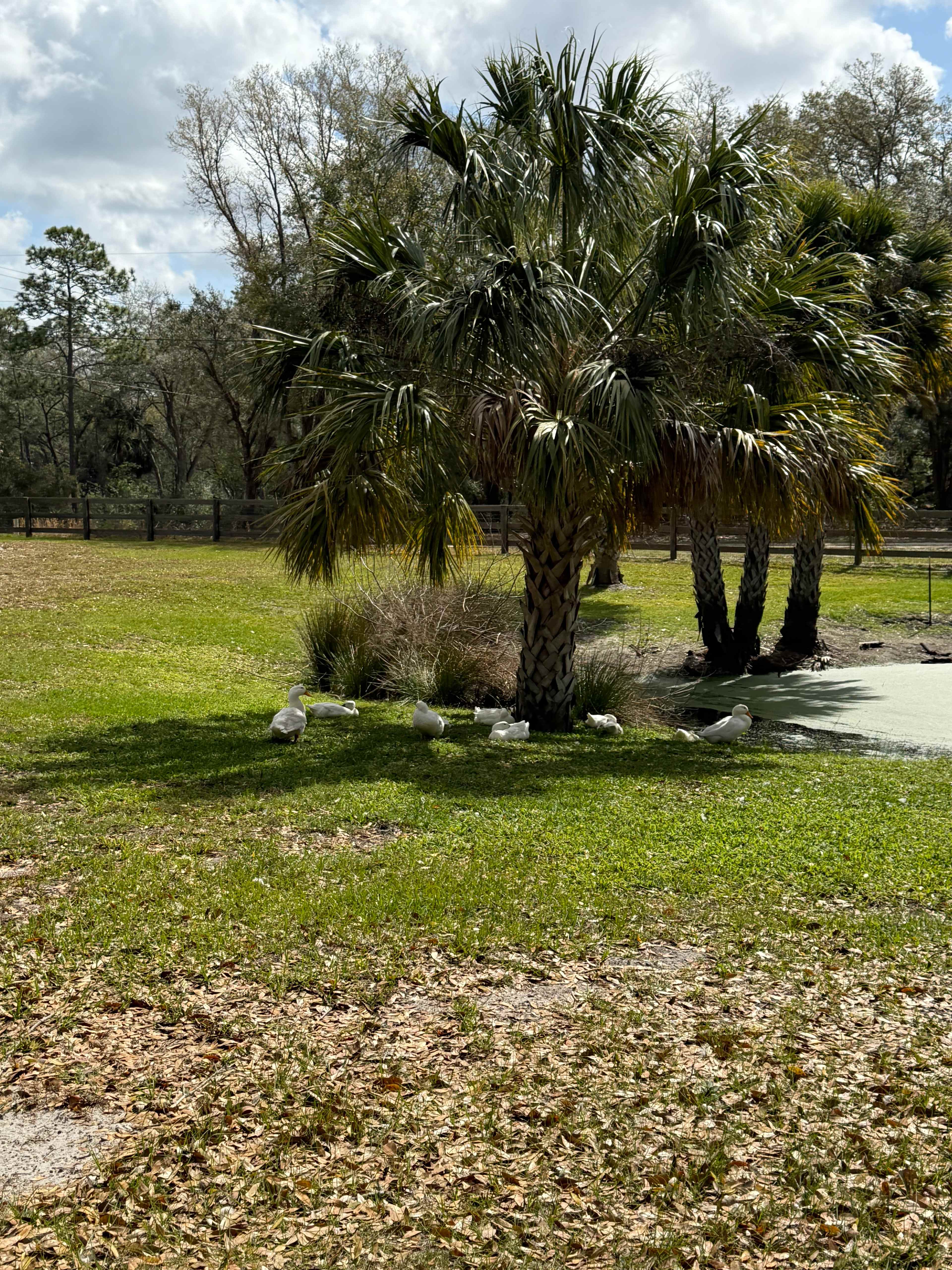 Redfoot Ranch